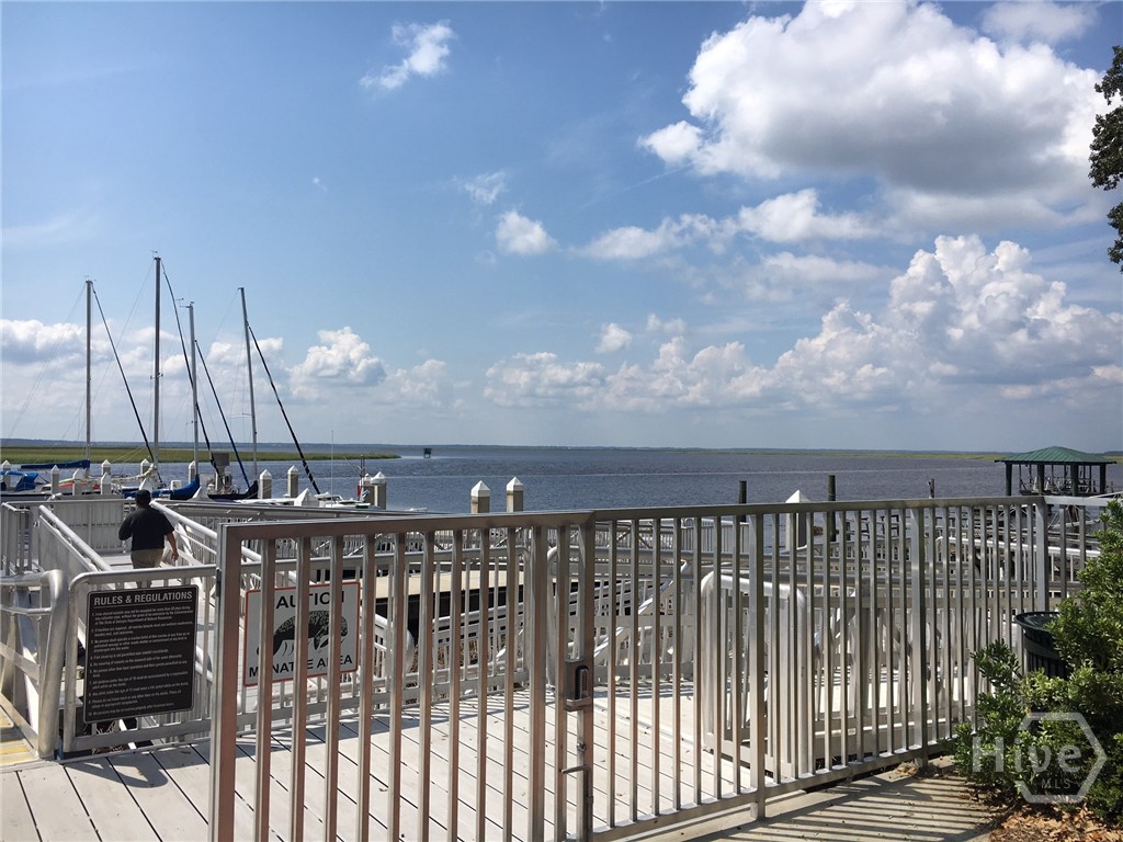374 Coffee Bluff Villa Road, Savannah, GA 31419 Listing Photo  42