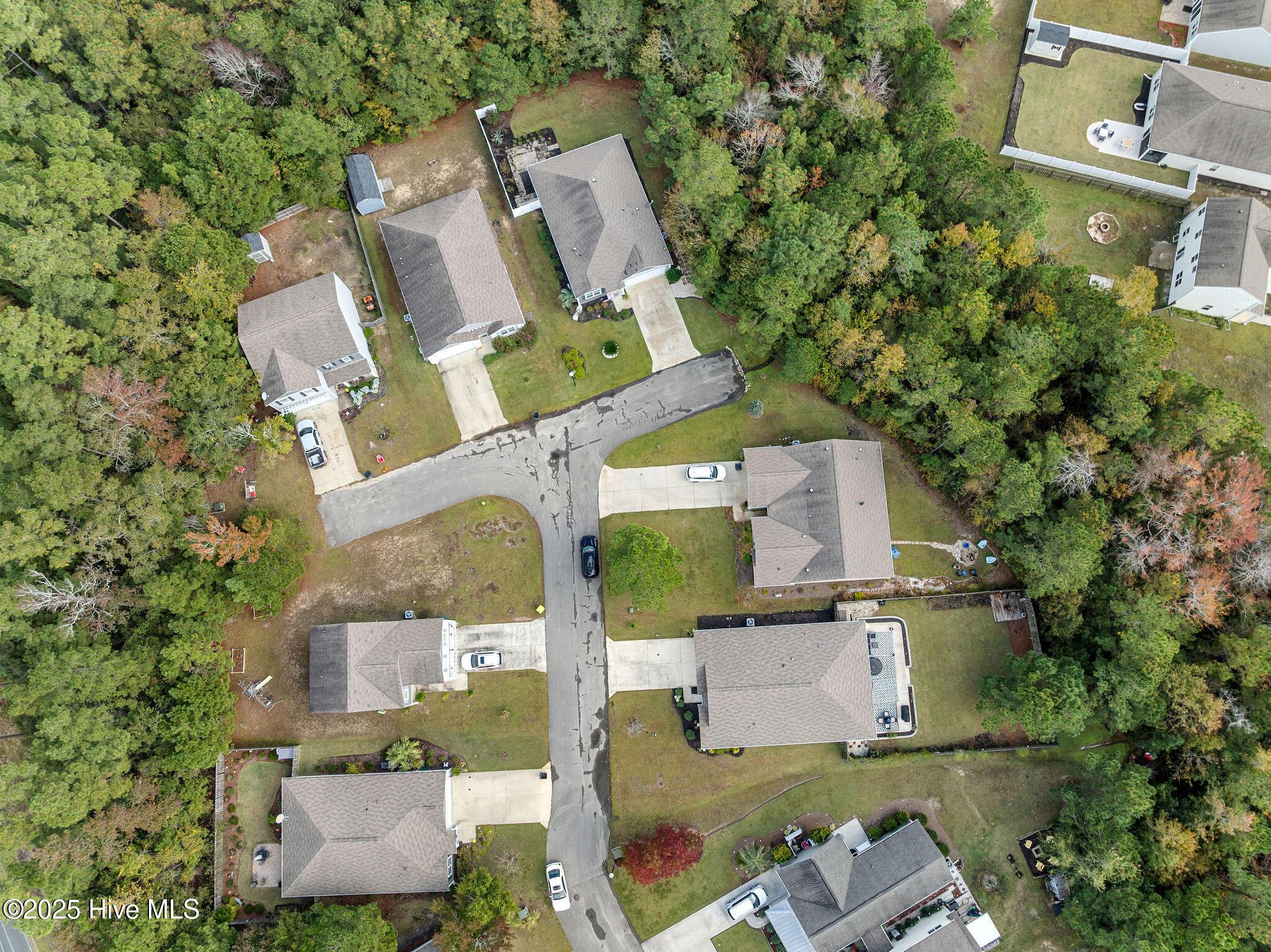 100539651 | Photo 55