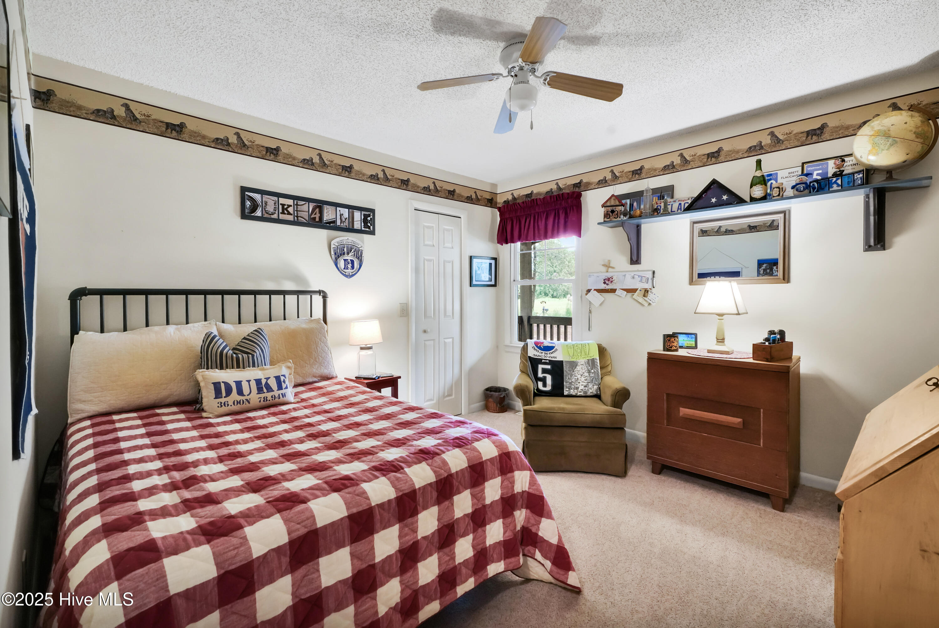 100538447 | Photo 30