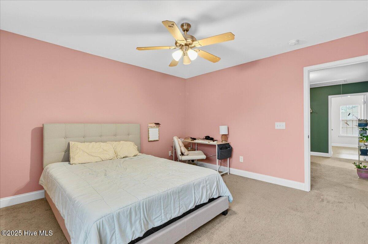 100522769 | Photo 29