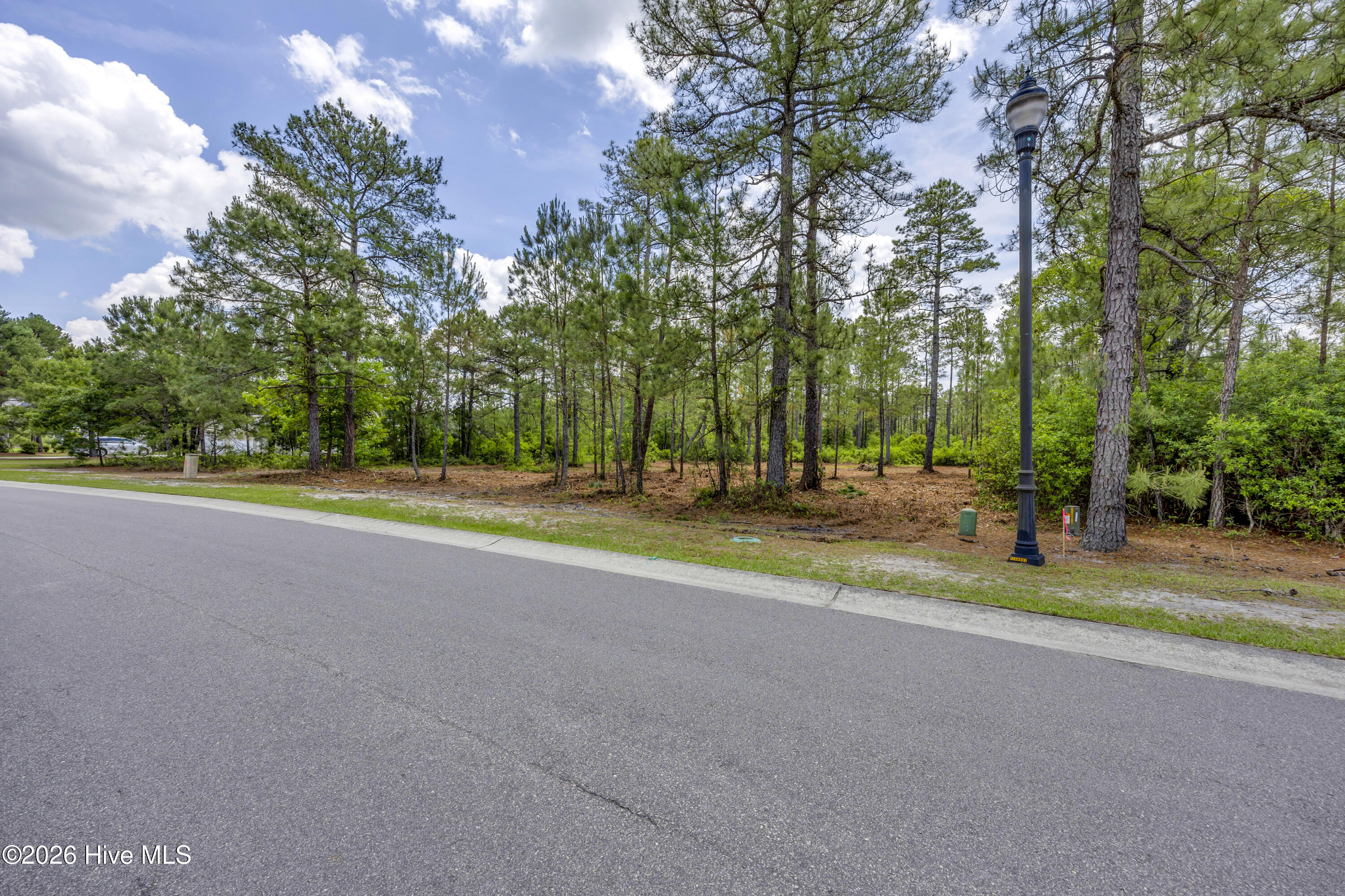 100577678 | Photo 2