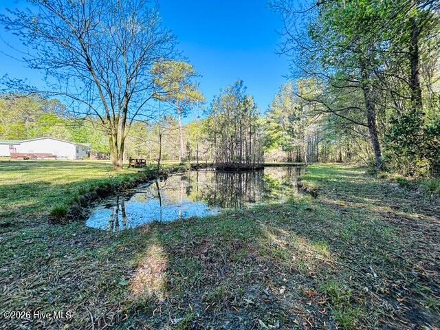 100566420 | Photo 14