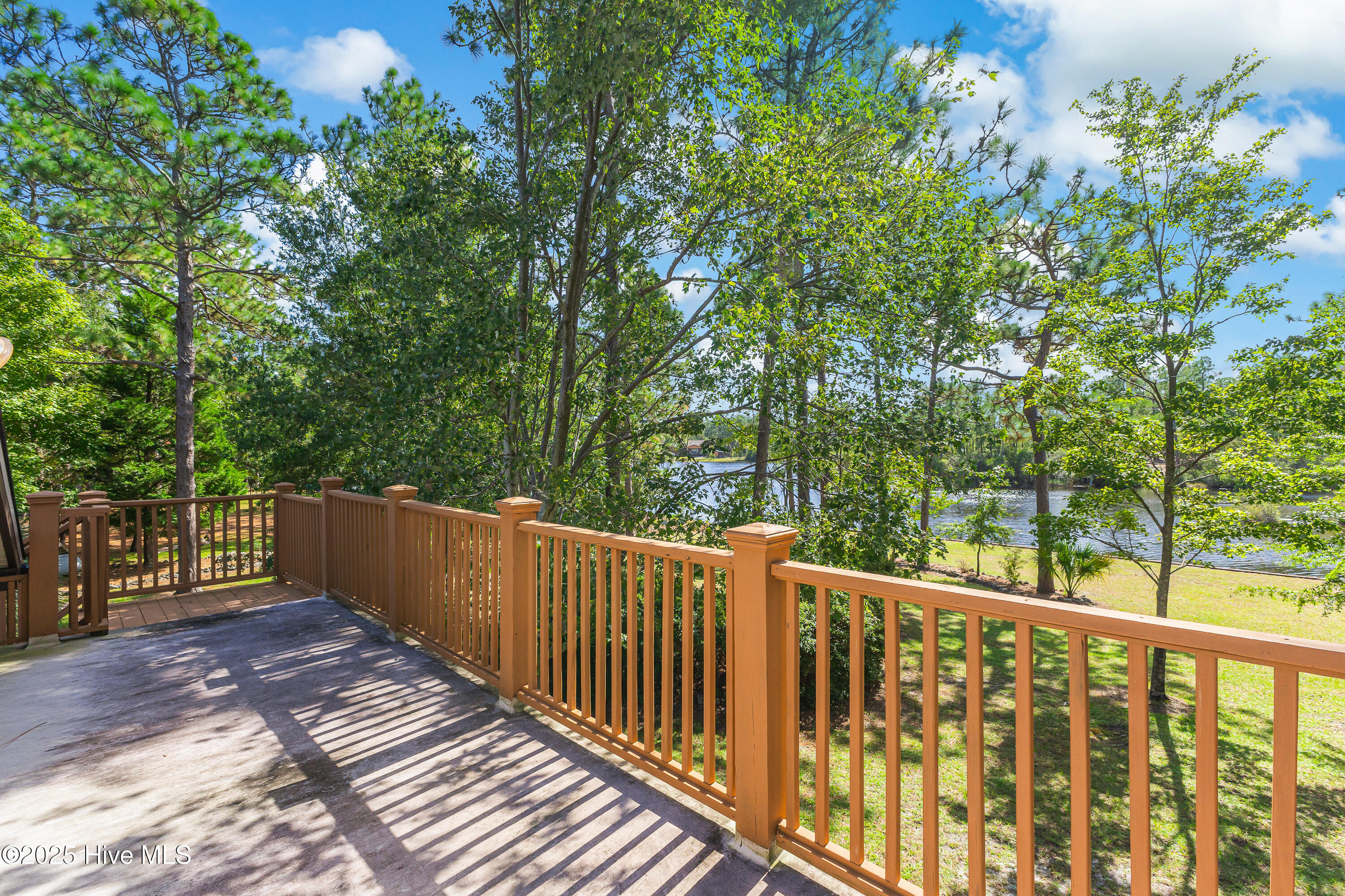 100538127 | Photo 47