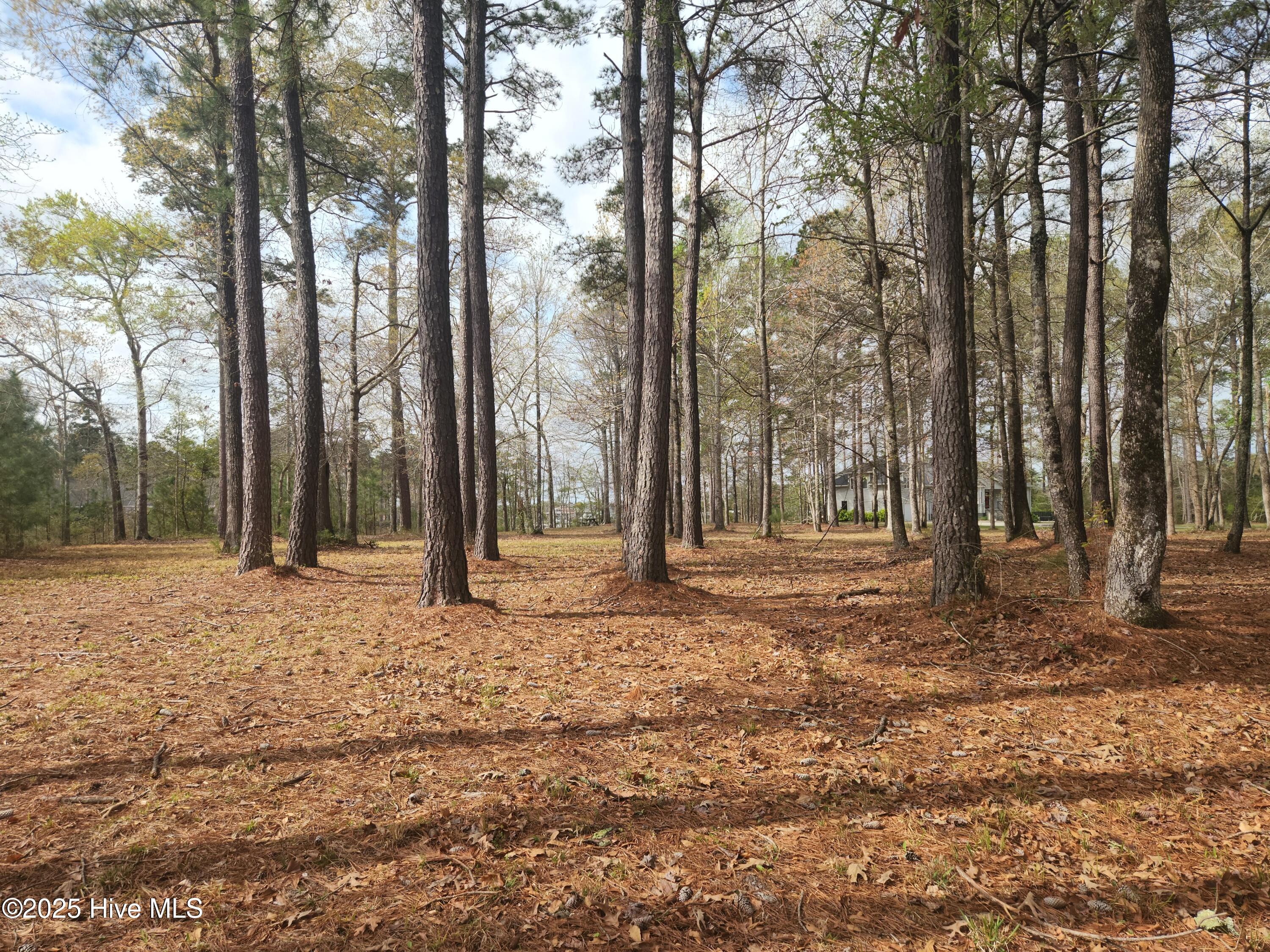 2 Acre oasis for your new home!