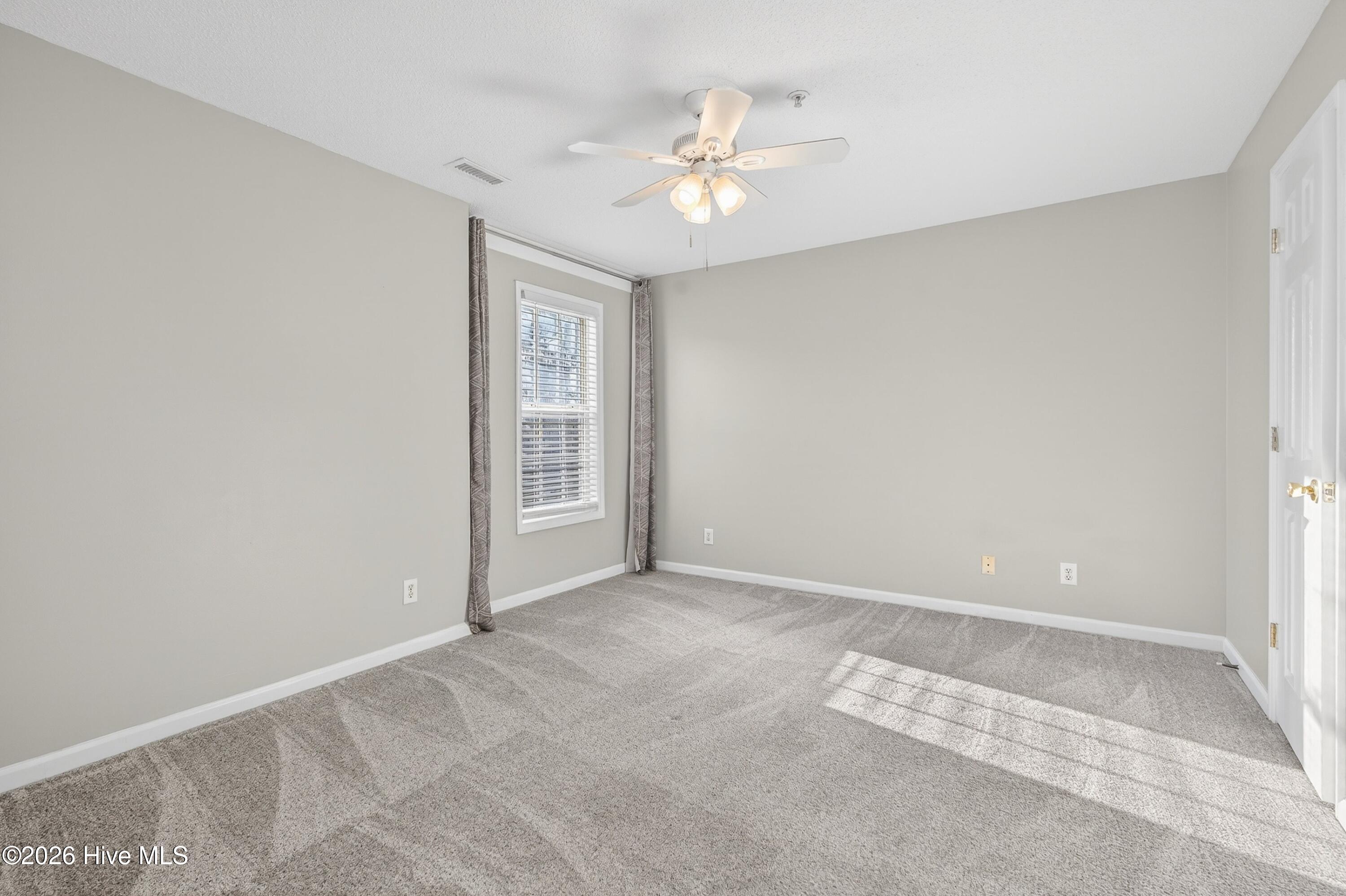 100556738 | Photo 15