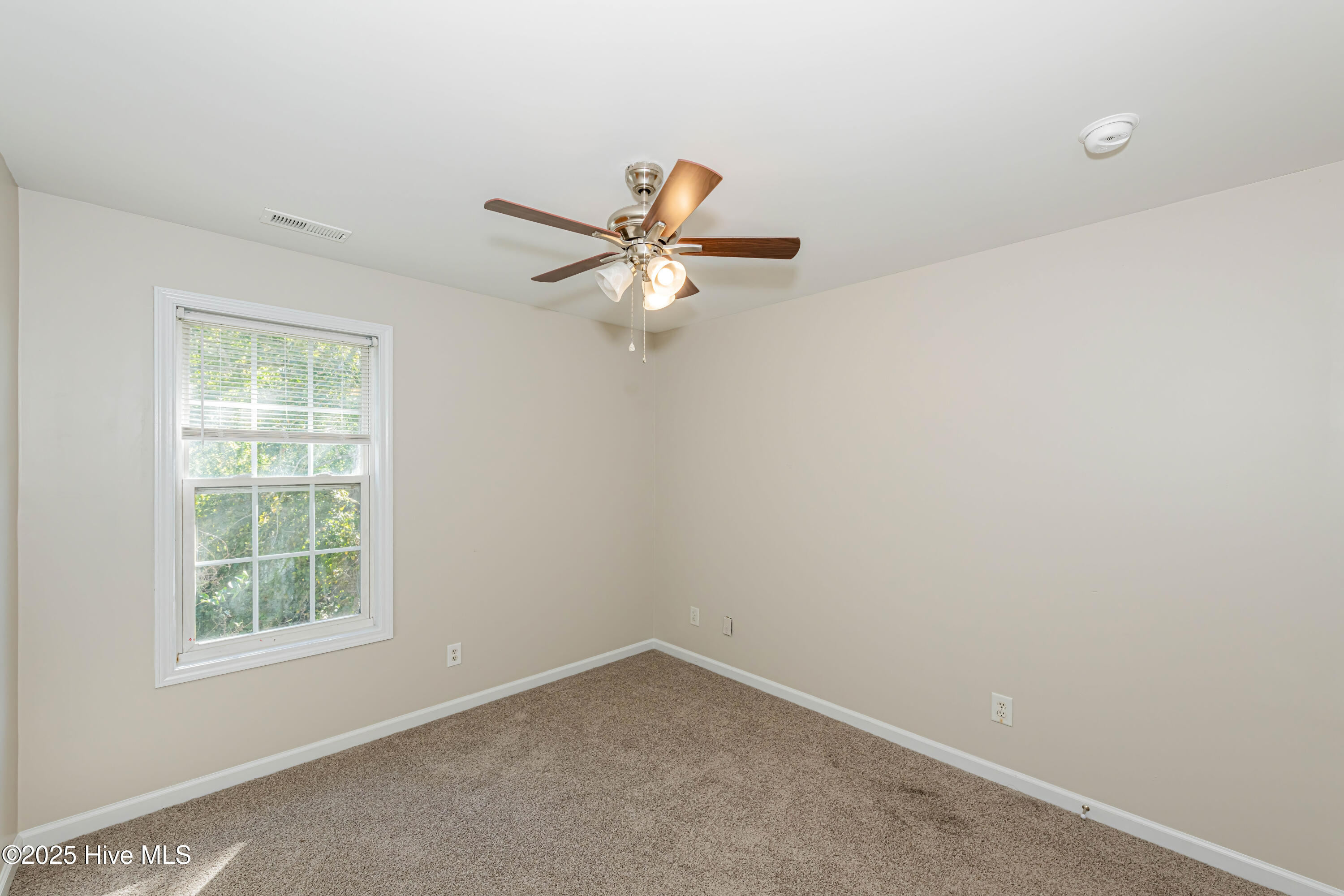 100521168 | Photo 38