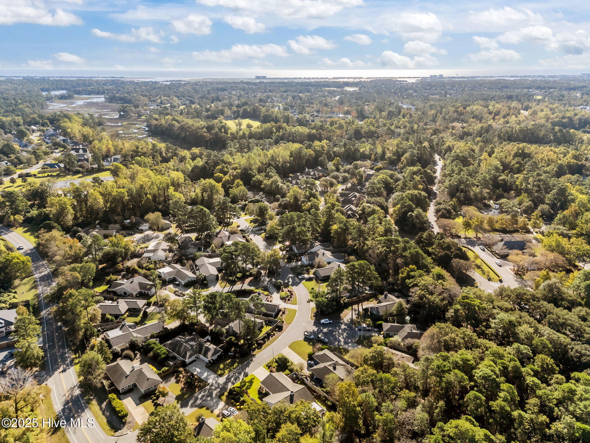 100537422 | Photo 65