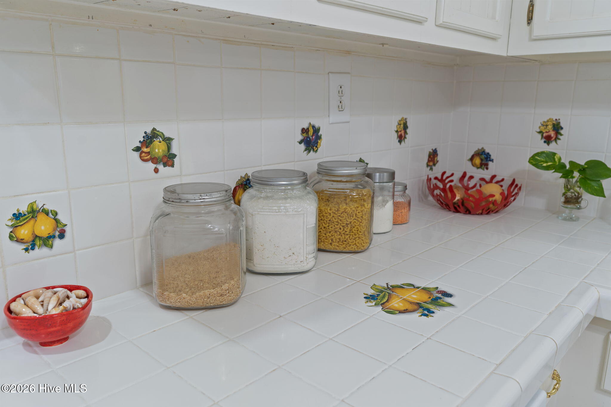 100556876 | Photo 20