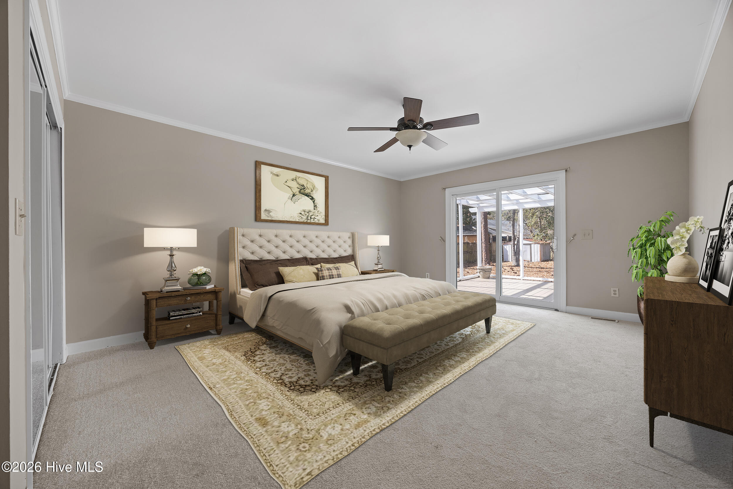 100558264 | Photo 22