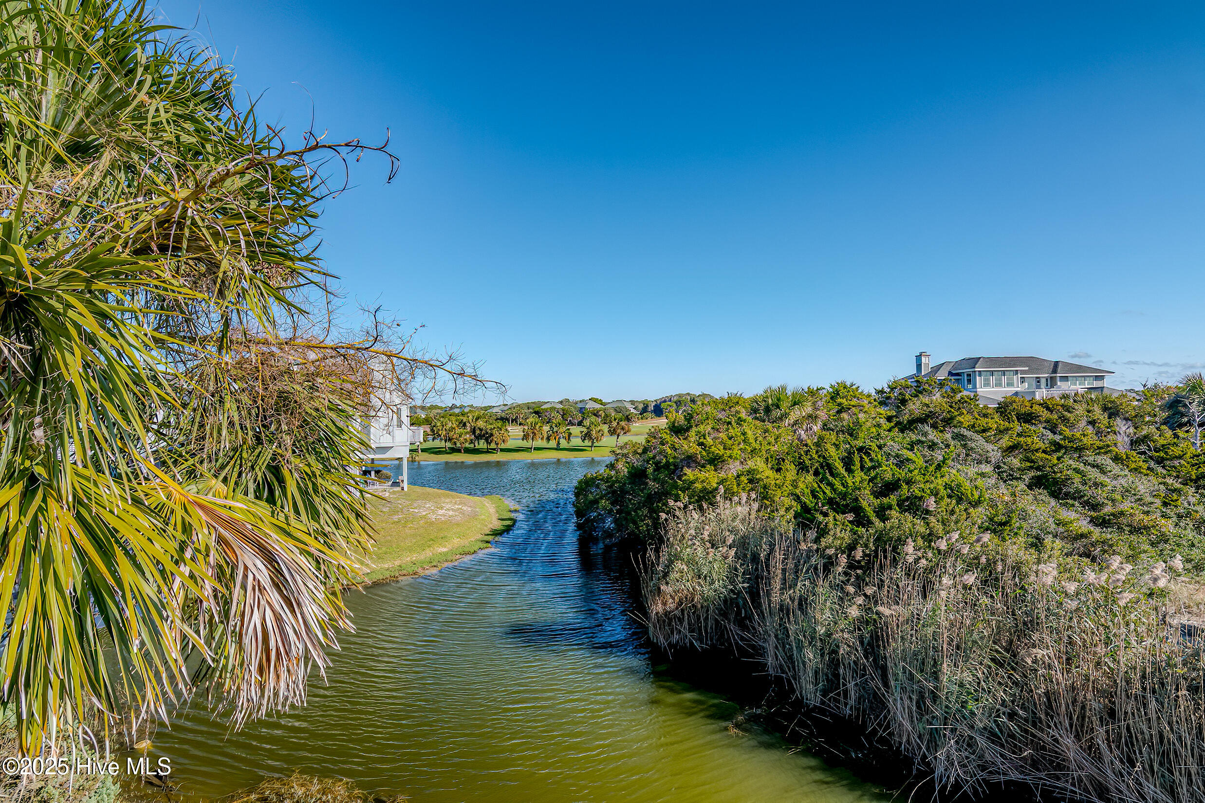 100526215 | Photo 16