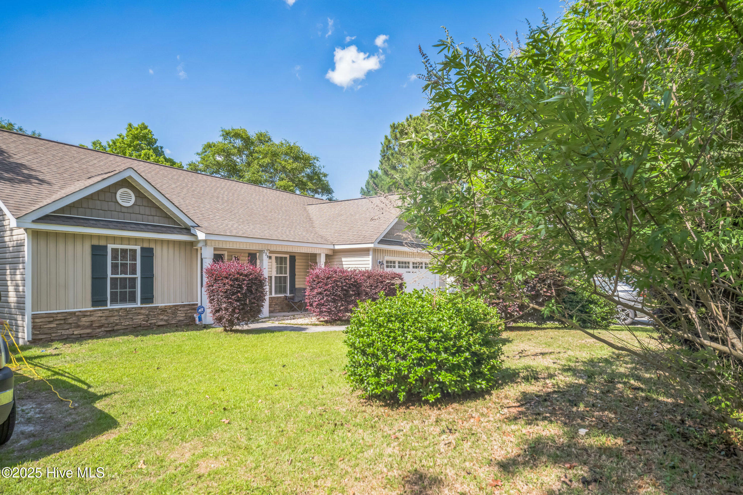 100517815 | Photo 33