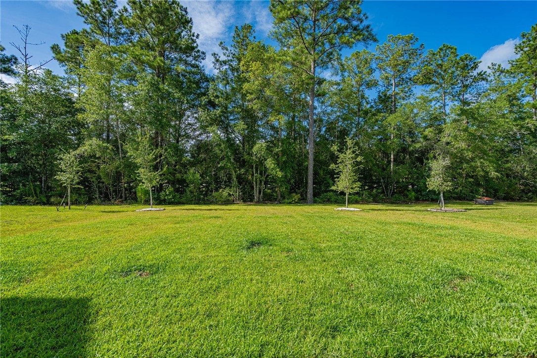 Homes for sale in Bloomingdale, GA | 15 Daffodil Dr, Bloomingdale, GA 31302 | MLS# SA334668