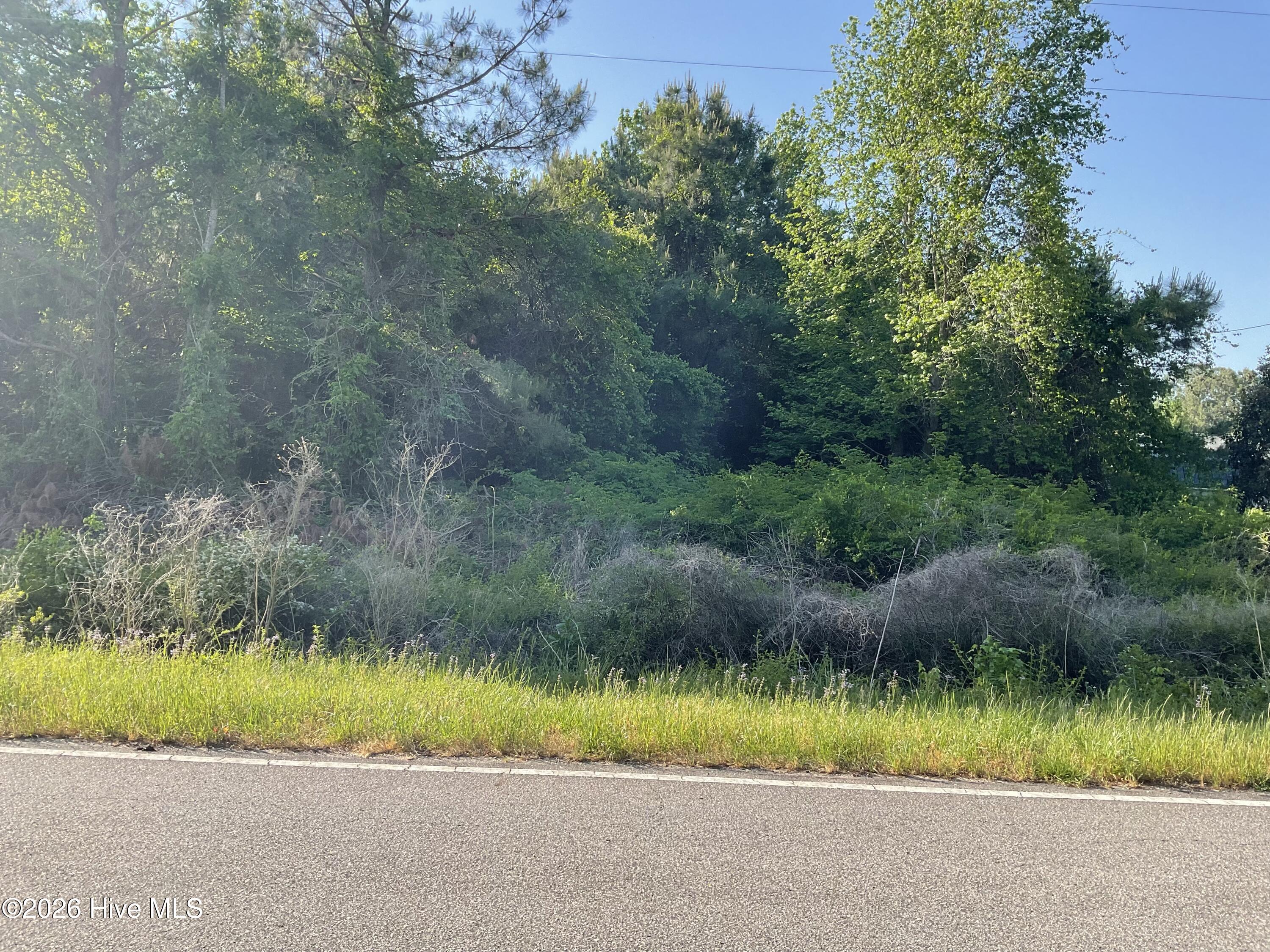 0 Bull Tail Road, Wallace, NC, 28466