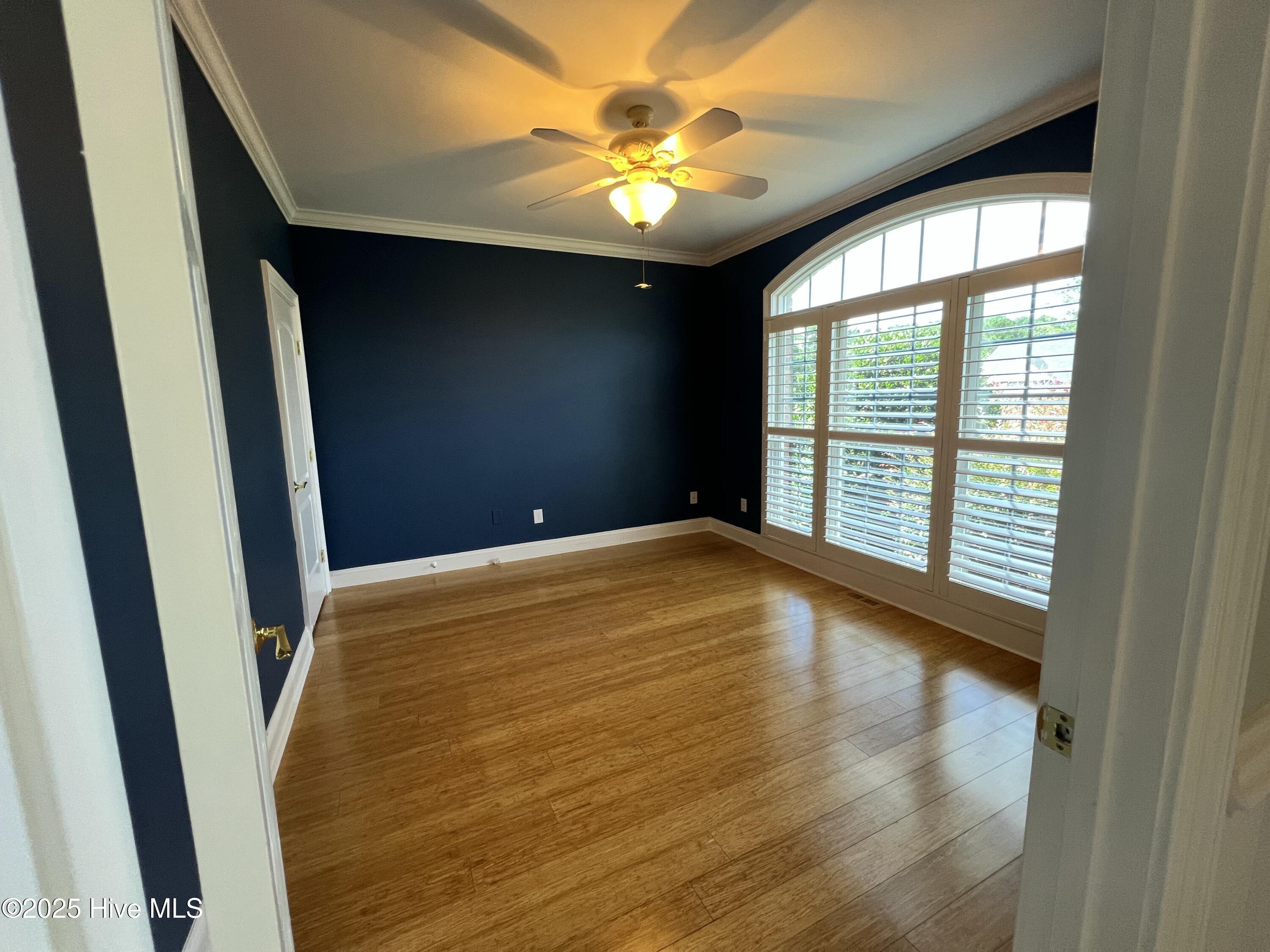 100522617 | Photo 17