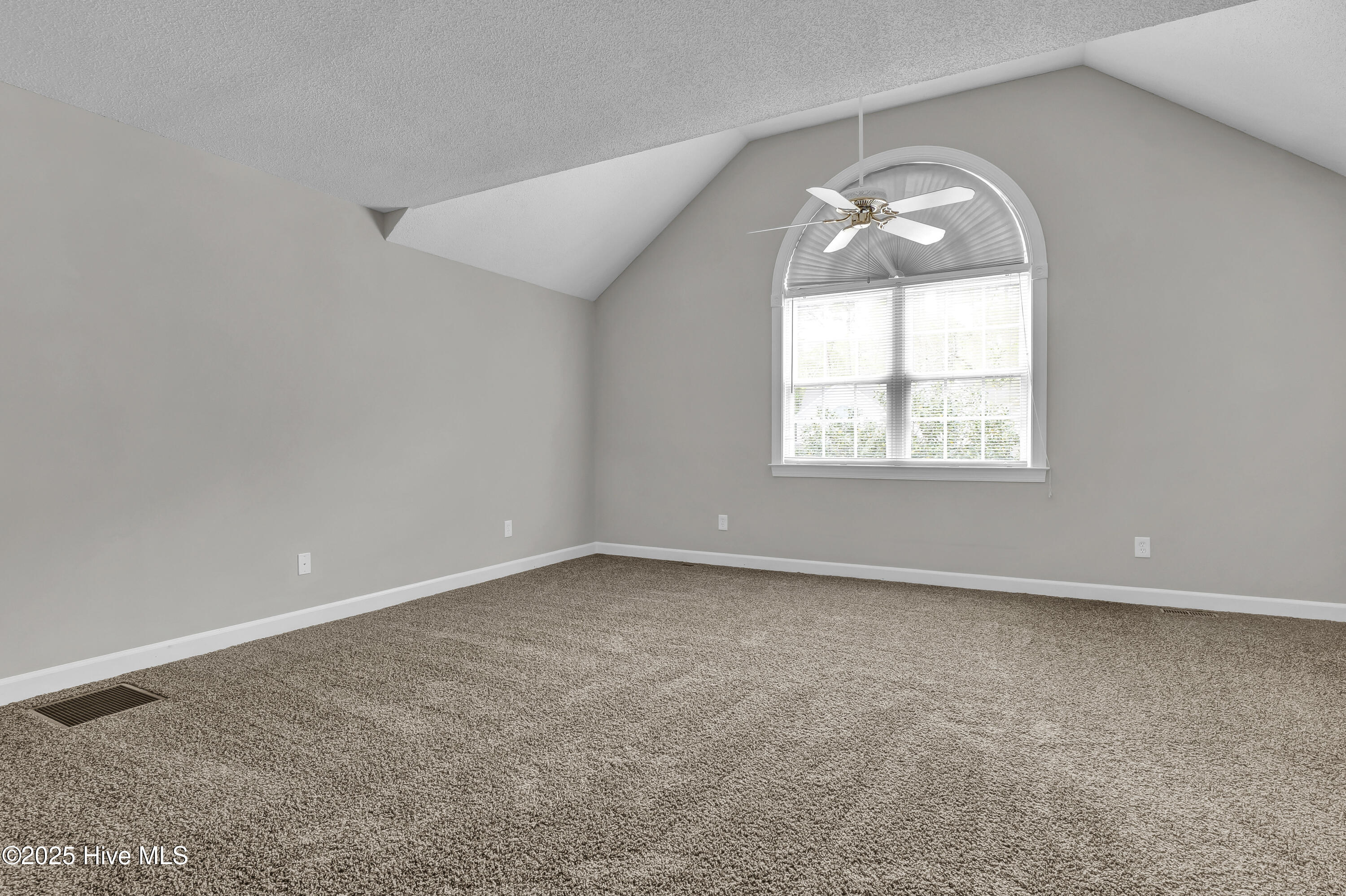 100557867 | Photo 23