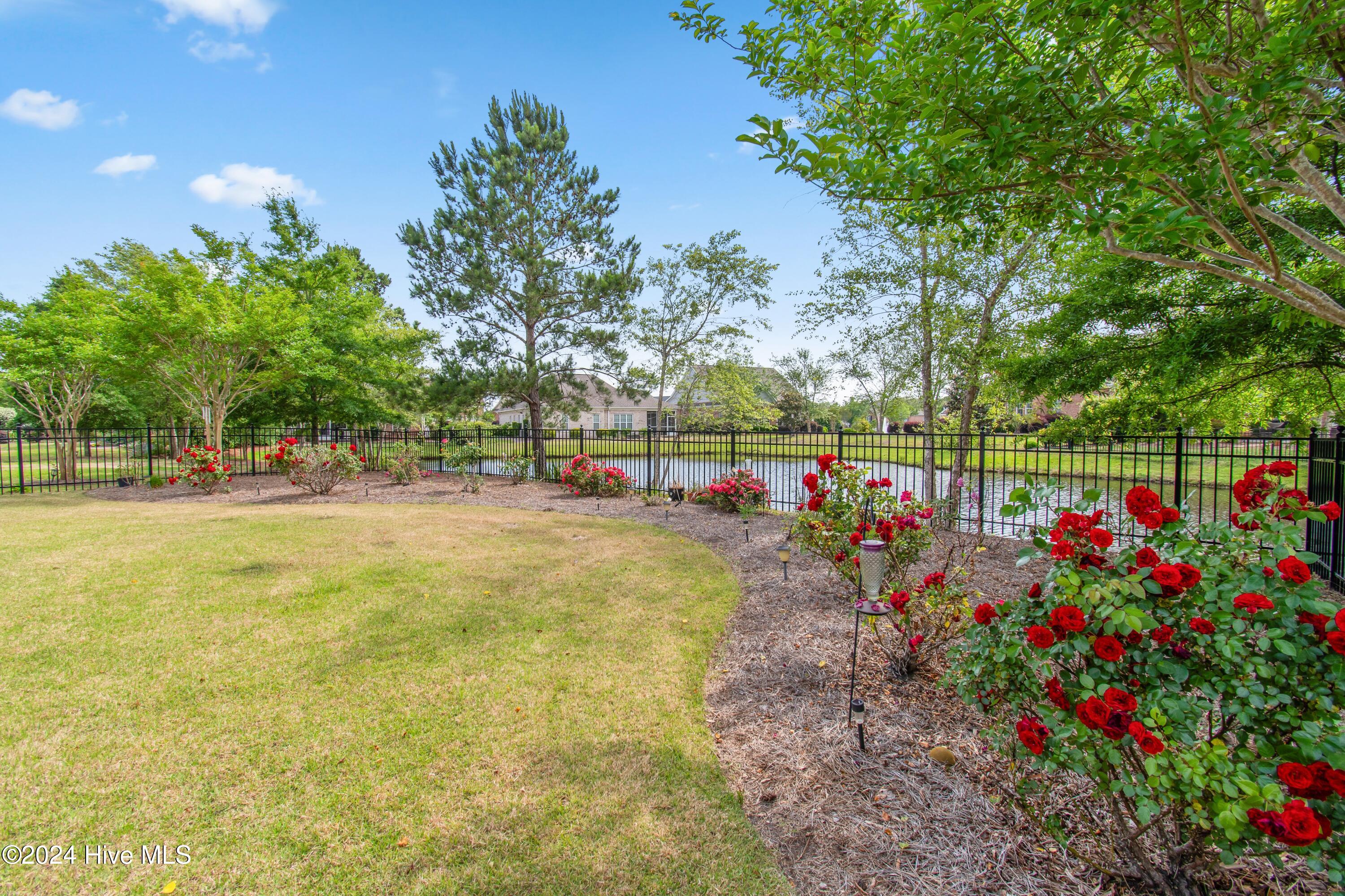 100540669 | Photo 39