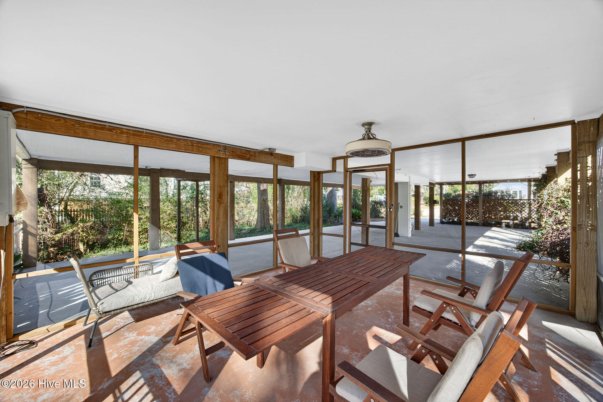 100551294 | Photo 21