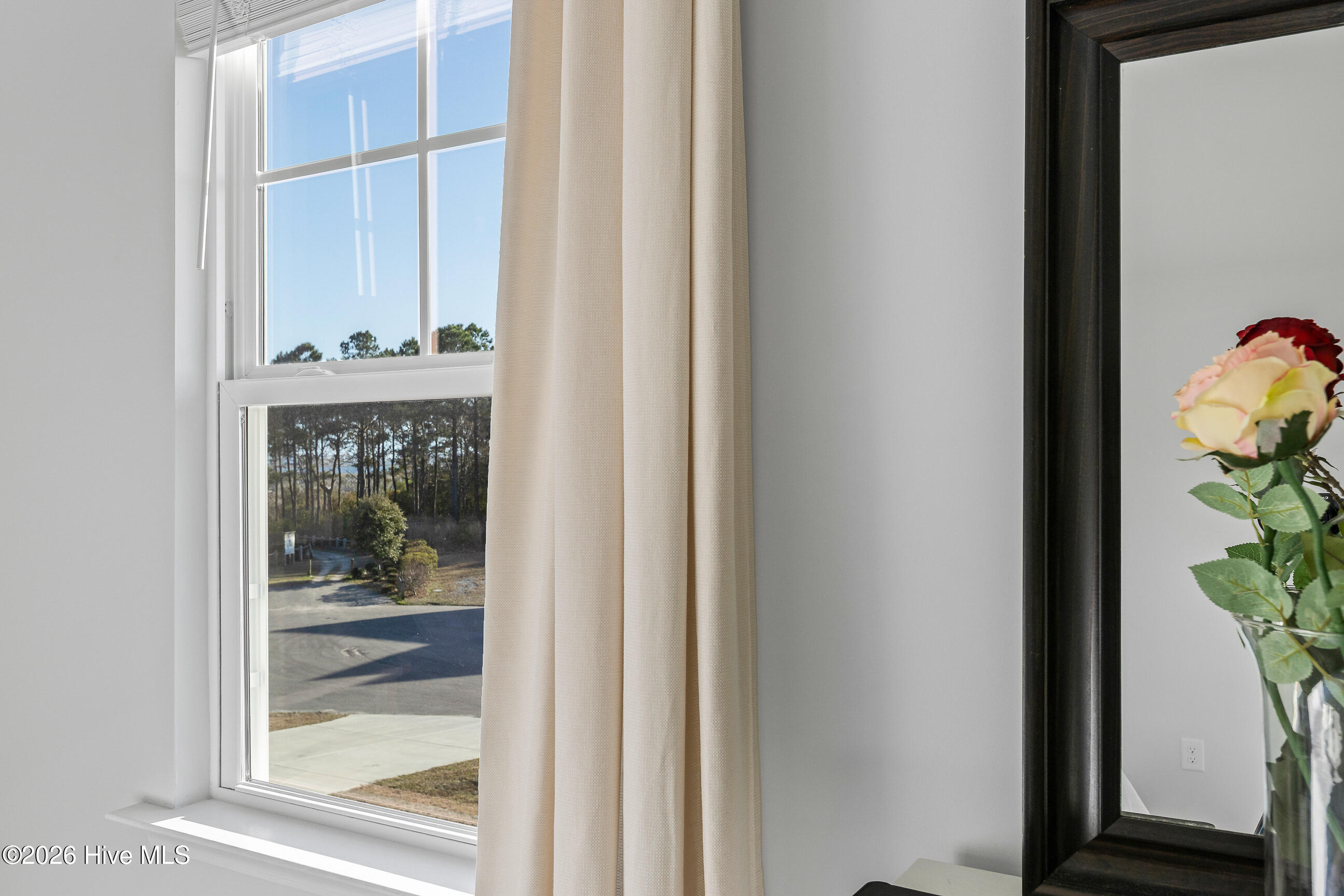 100558973 | Photo 17