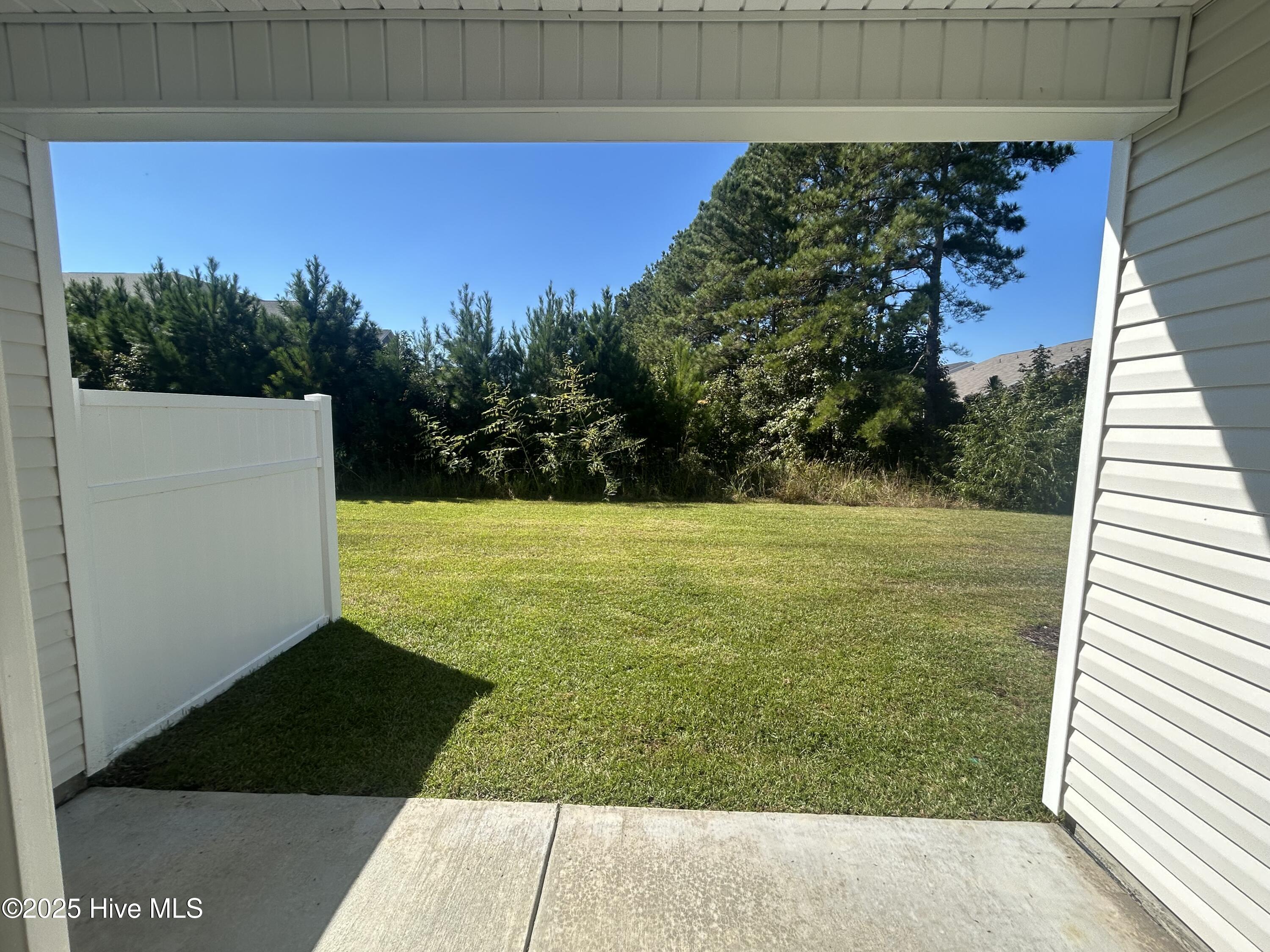 100536961 | Photo 11