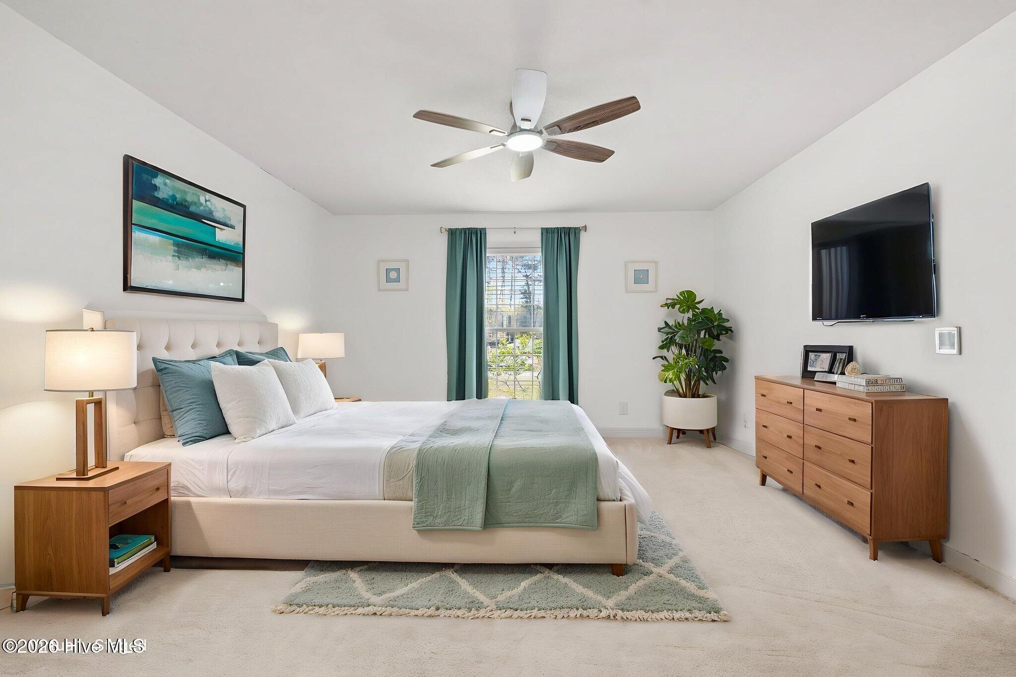 100564721 | Photo 27