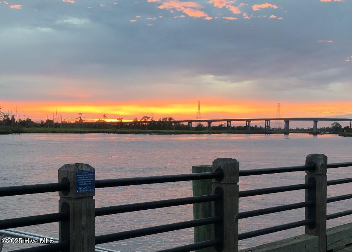 100542959 | Photo 23