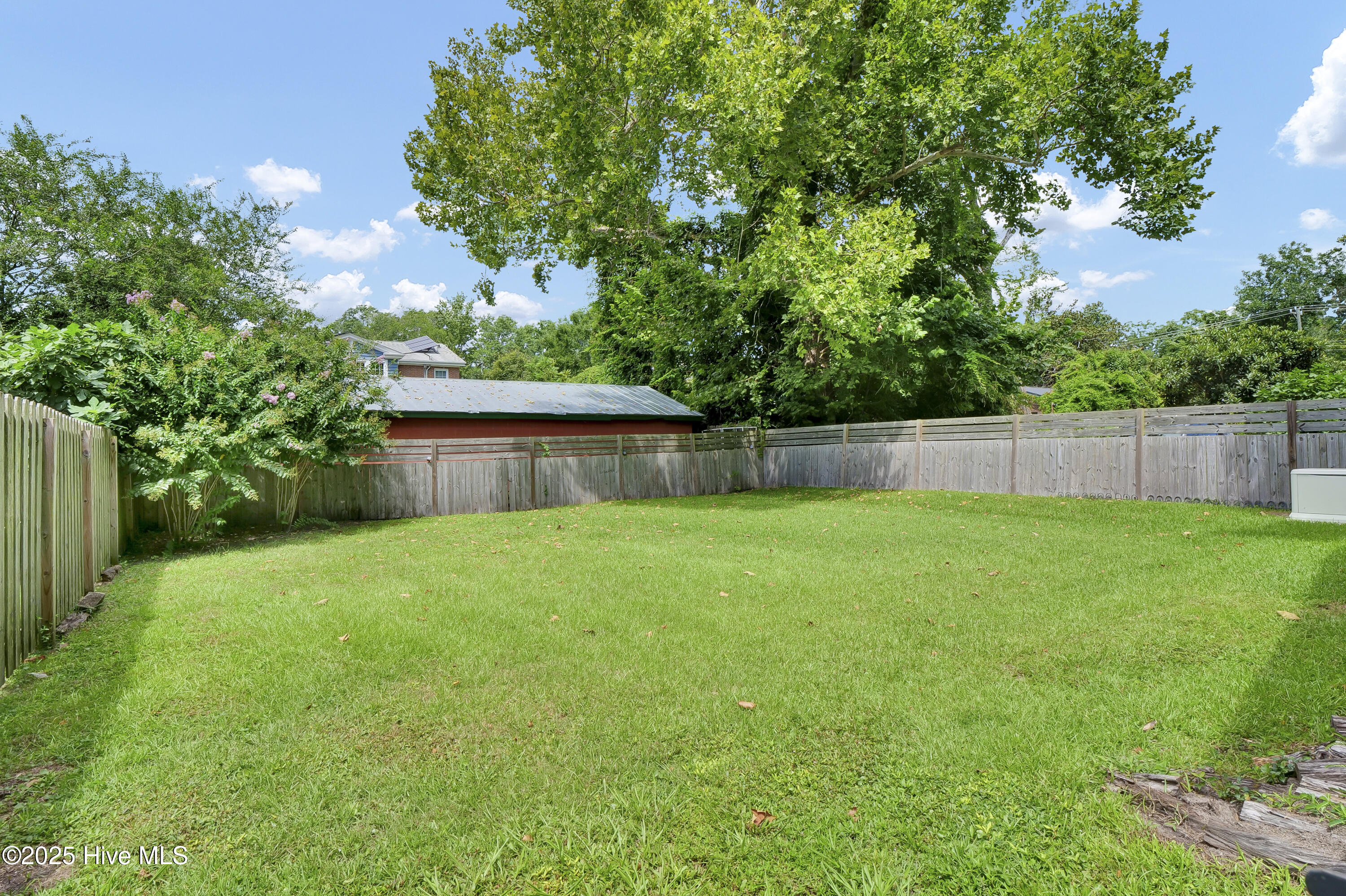 100564698 | Photo 47