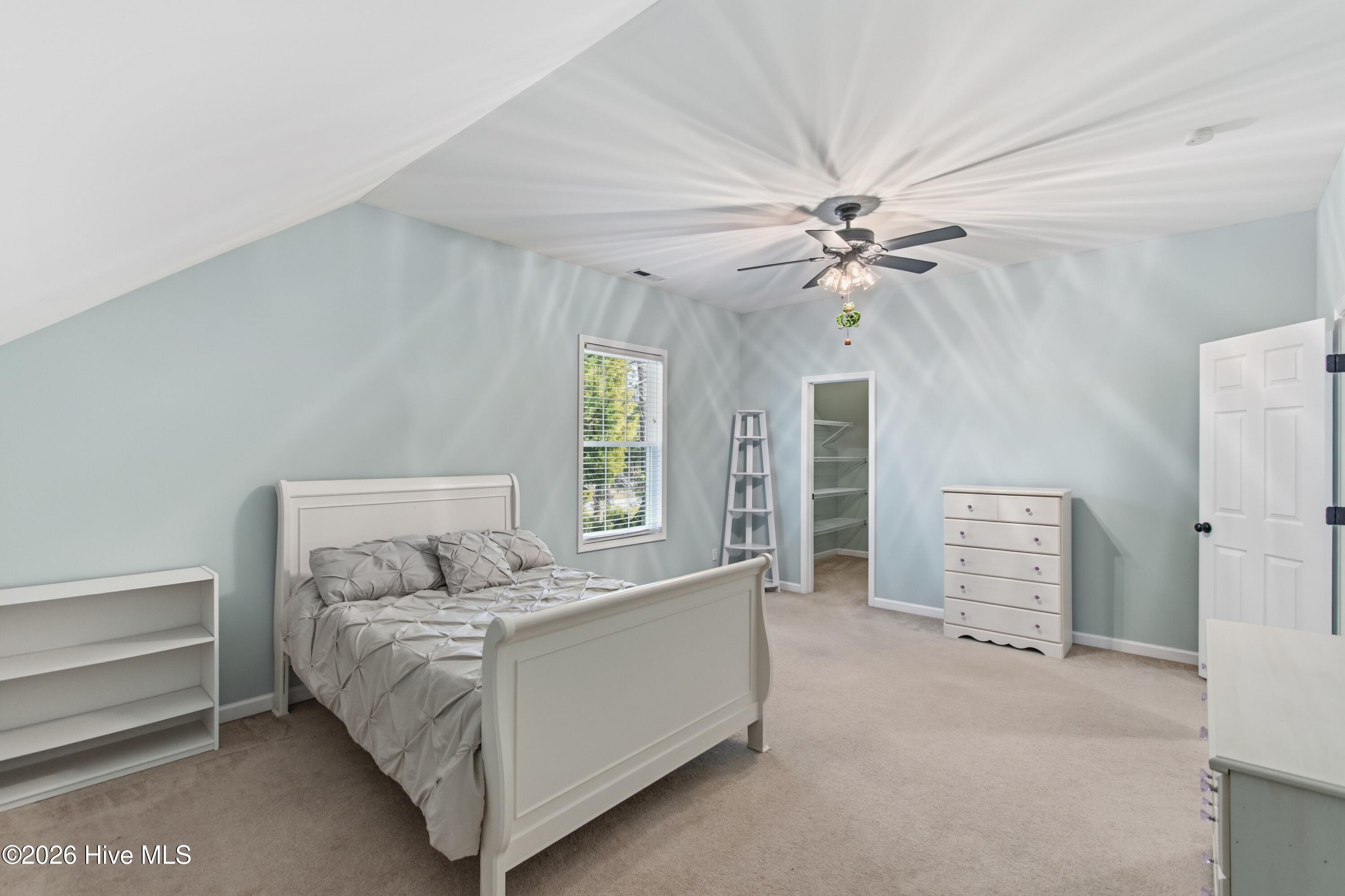 100556655 | Photo 49