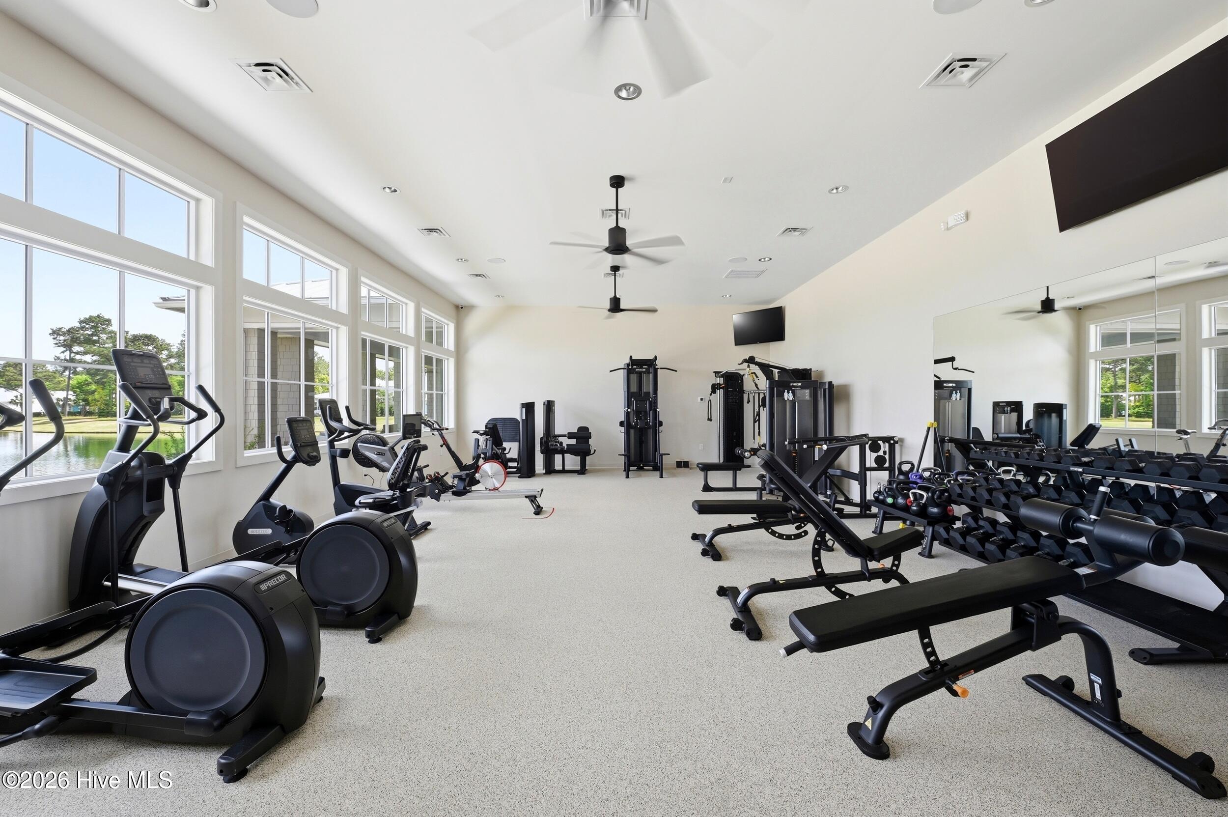 100567855 | Photo 74