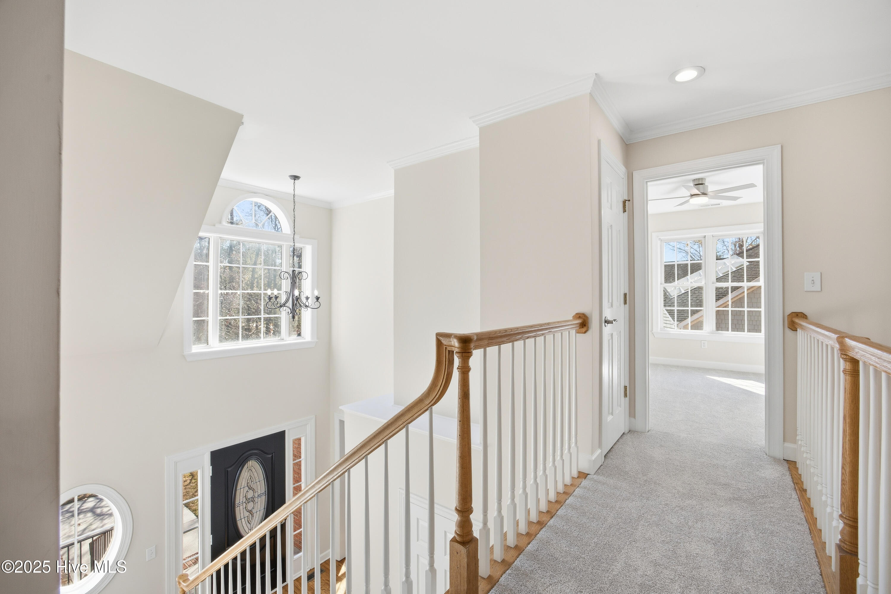 100545806 | Photo 28