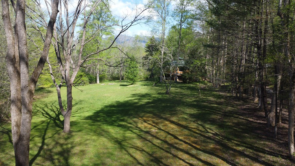 8158 Beaver Dam Road, Murphy, NC 28906 Listing Photo  7