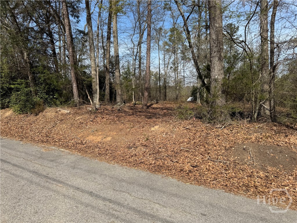 738 Old Mineral Springs Road, Elberton, GA, 30635