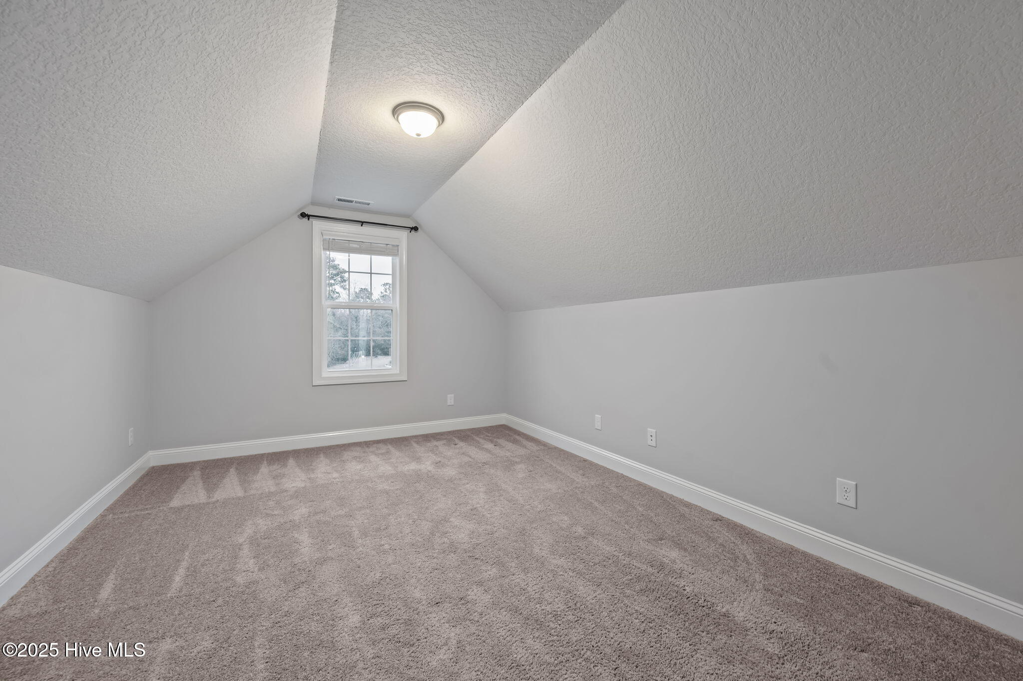 100546681 | Photo 29