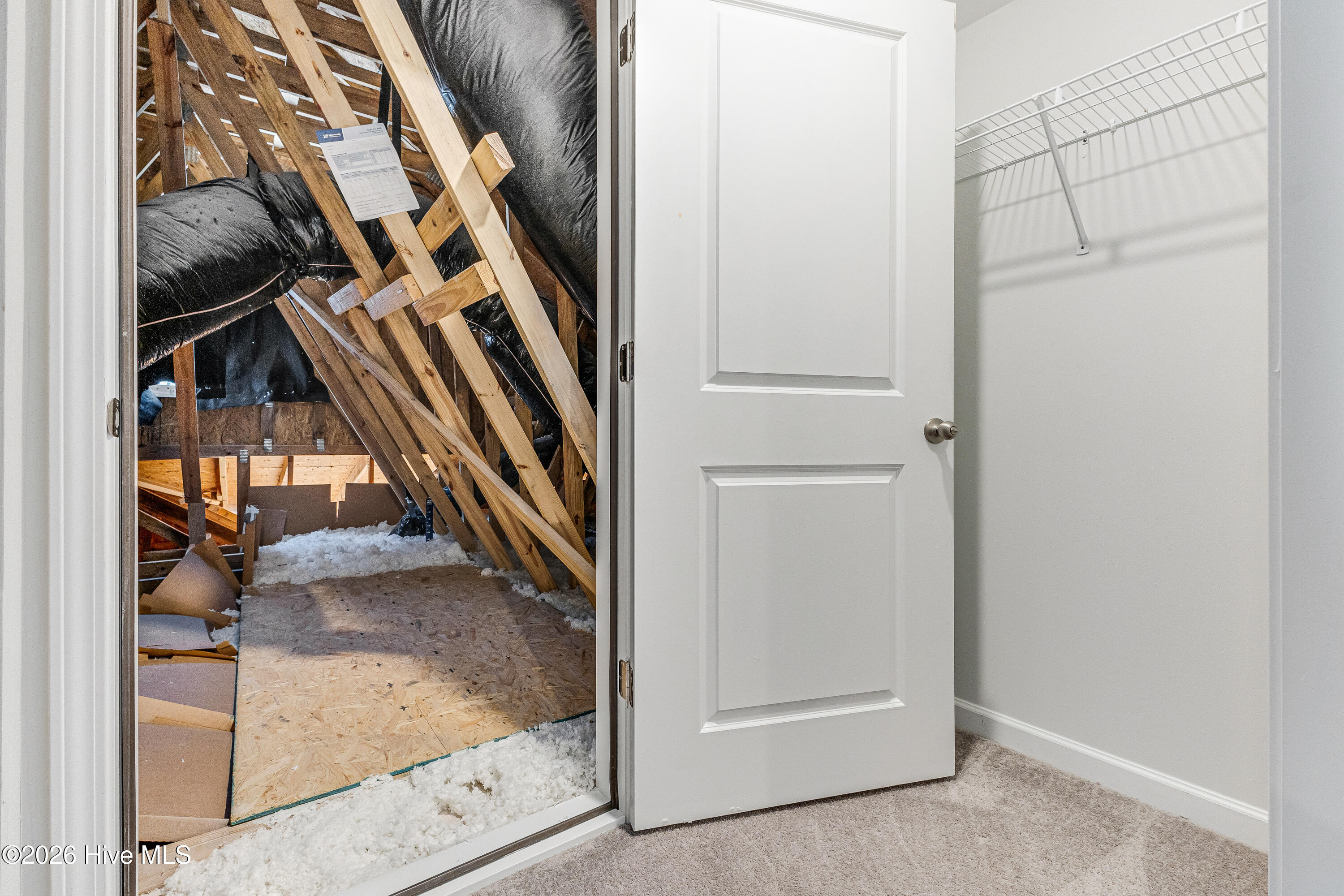 100521011 | Photo 37