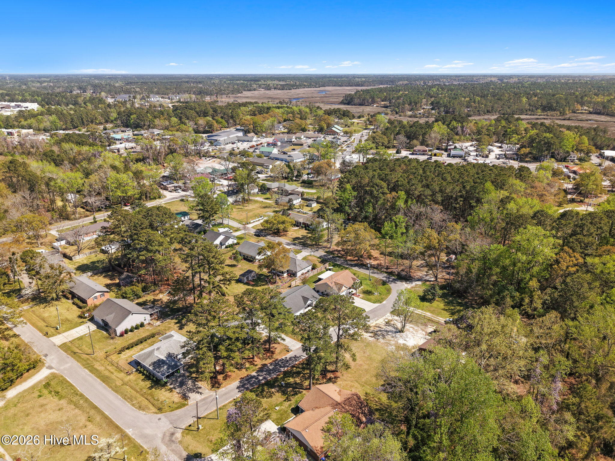 100564641 | Photo 45