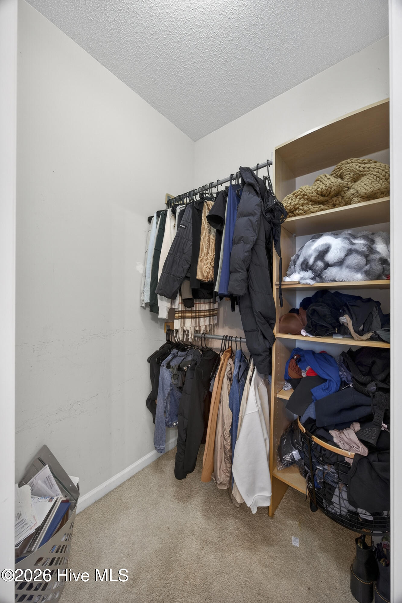 100565929 | Photo 38