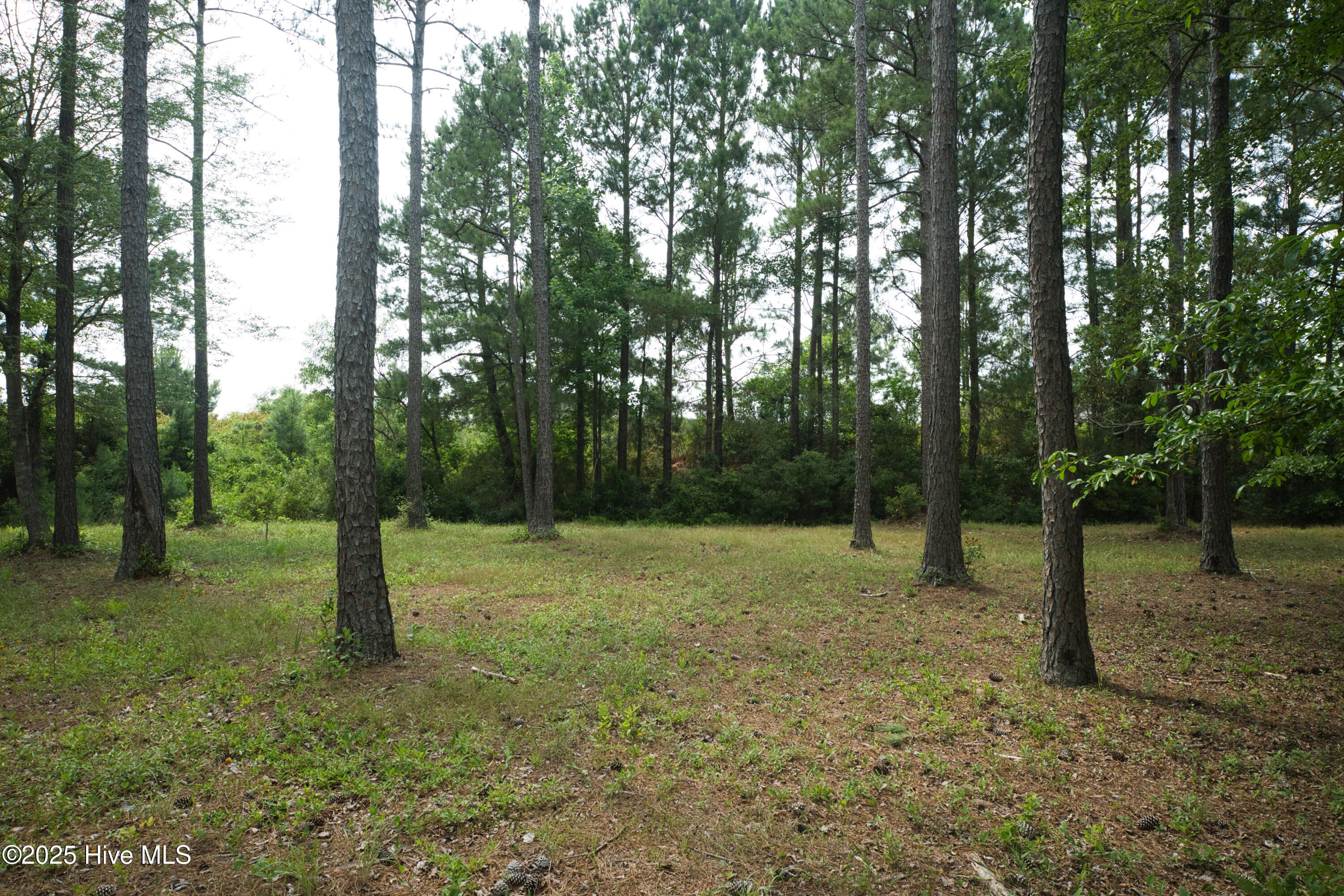 741 Highgate Place SW