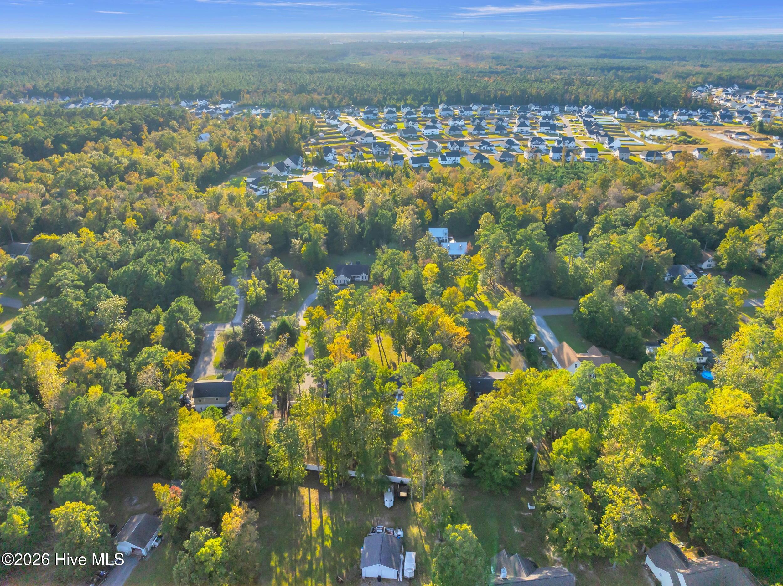 100562256 | Photo 50