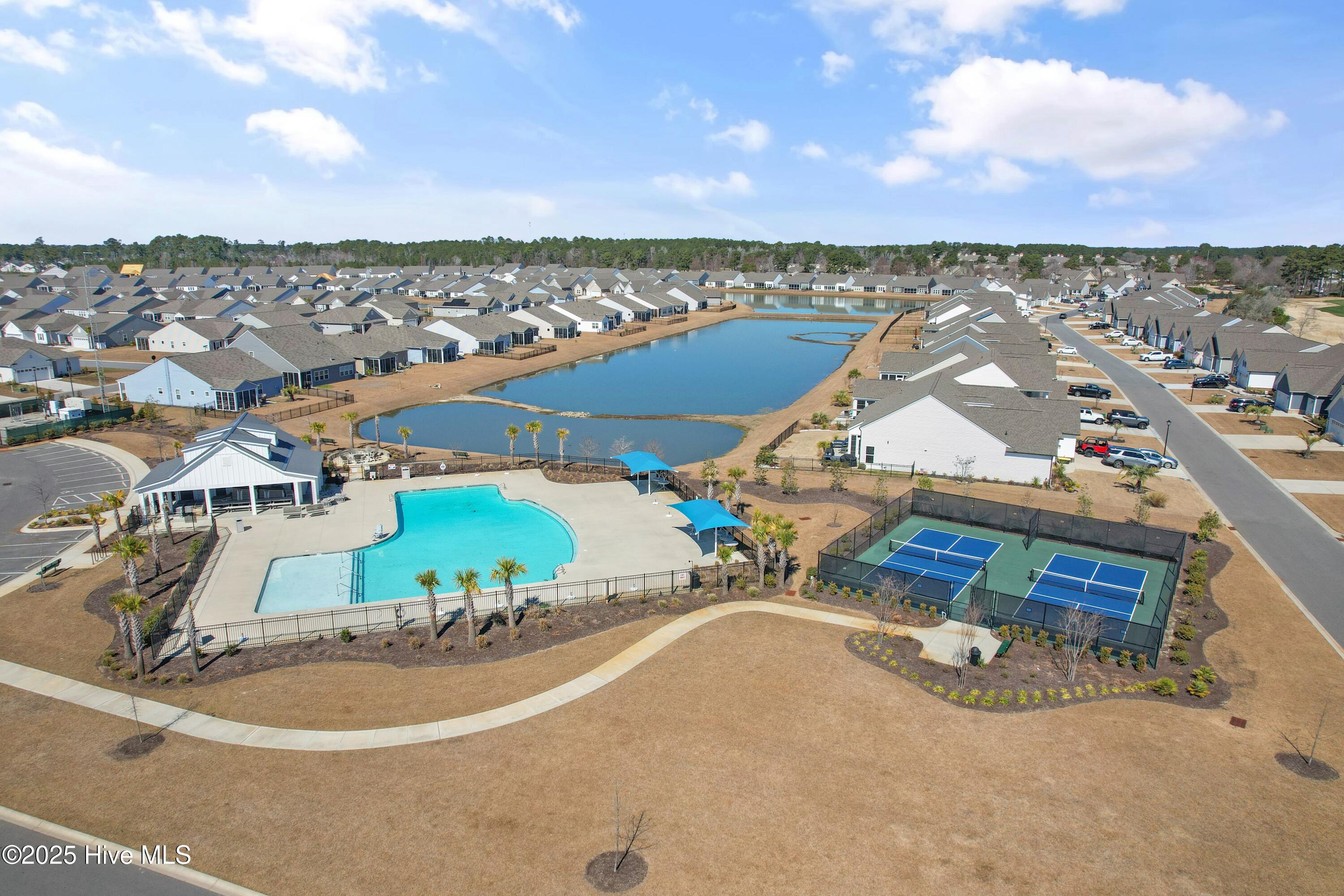 100532742 | Photo 47