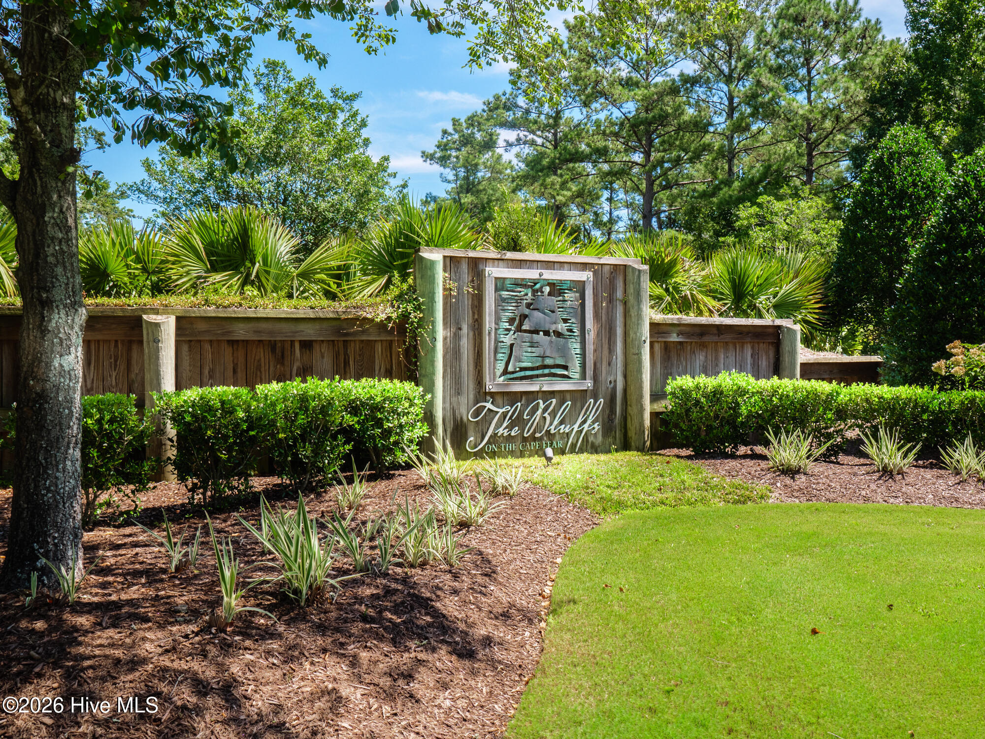 100567855 | Photo 96