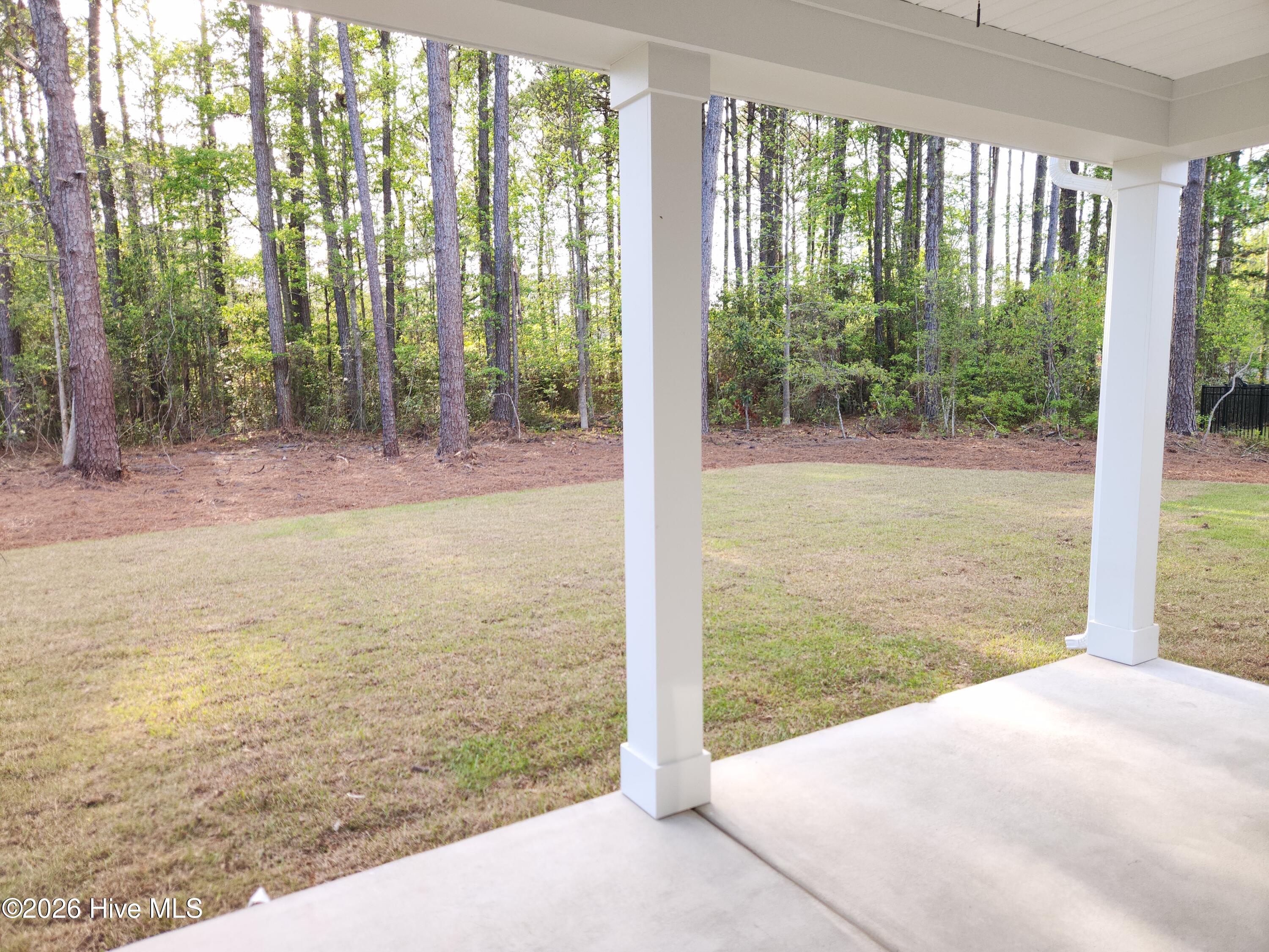 100566196 | Photo 37