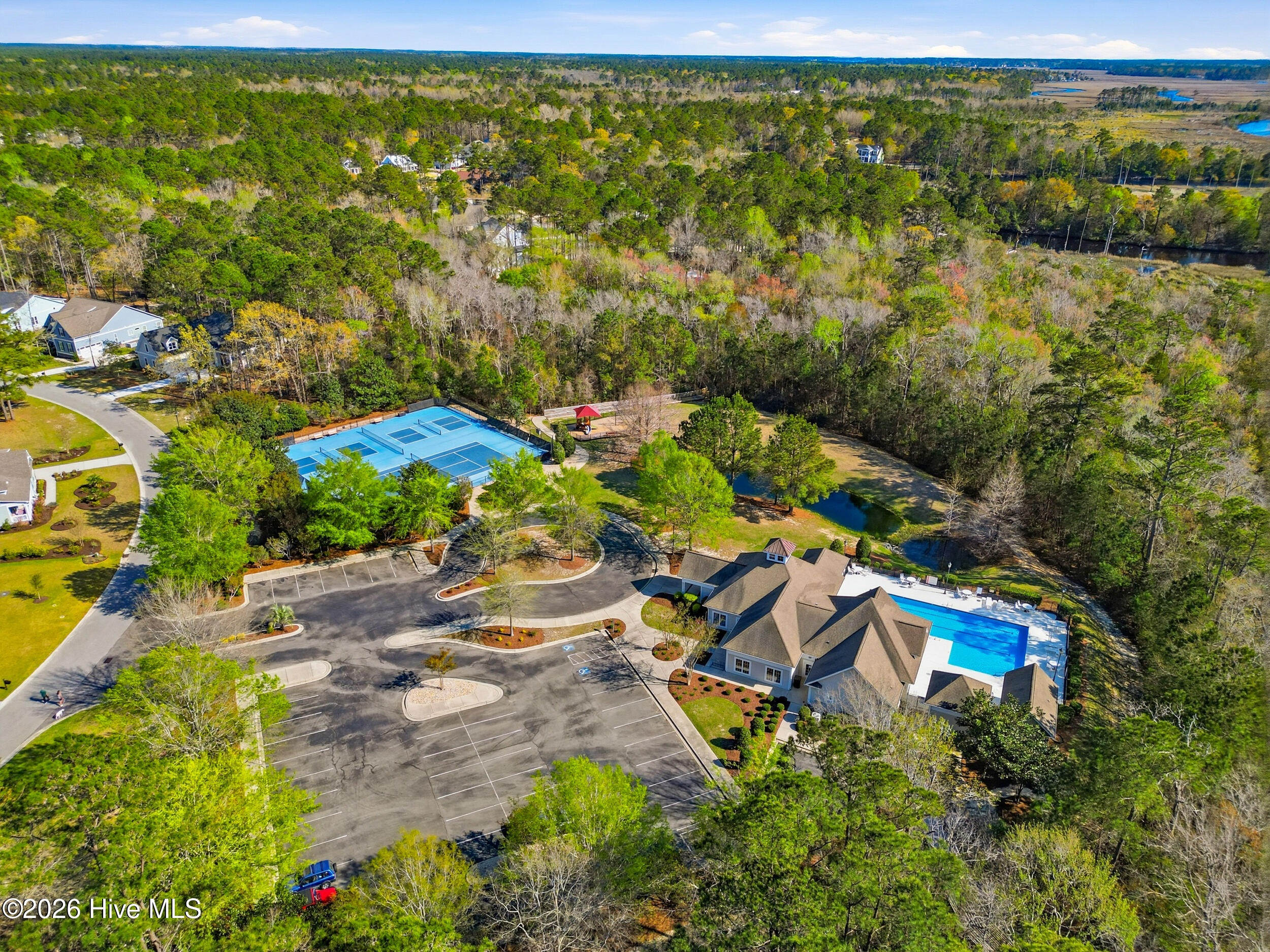 100563980 | Photo 80