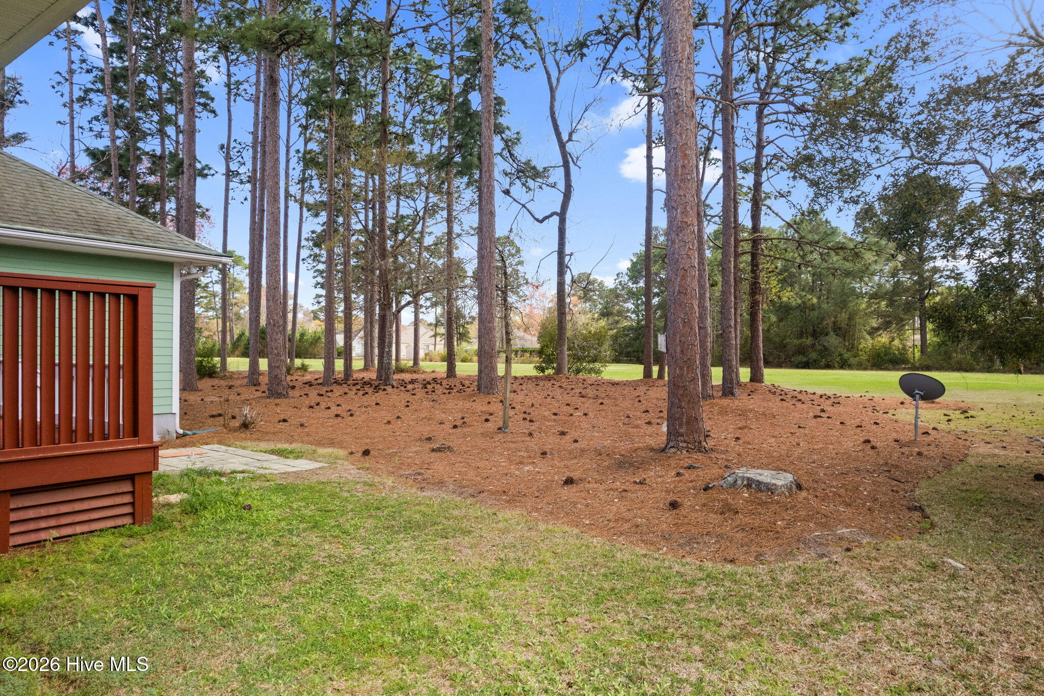 100559475 | Photo 51