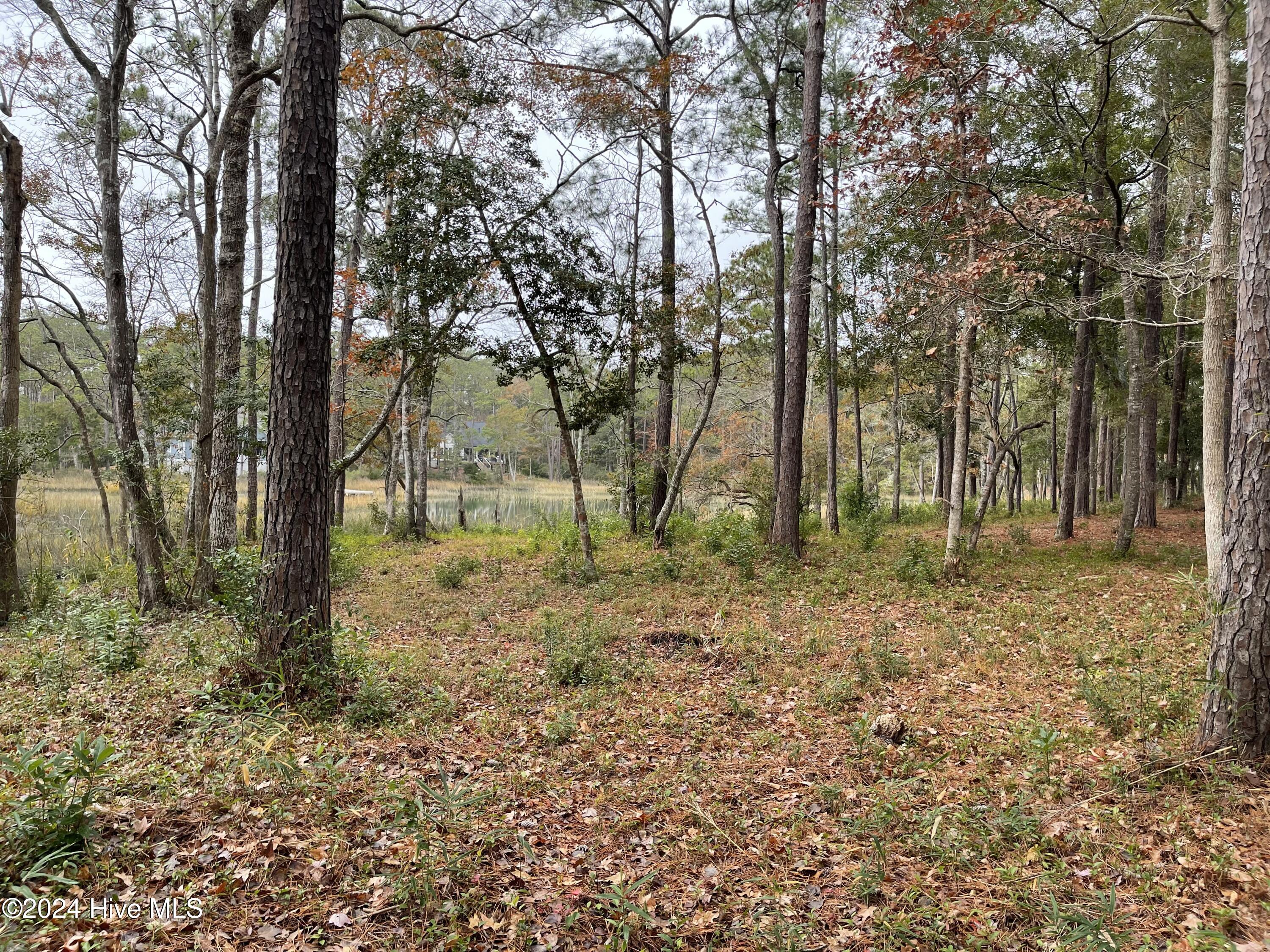 100481360 | Photo 18