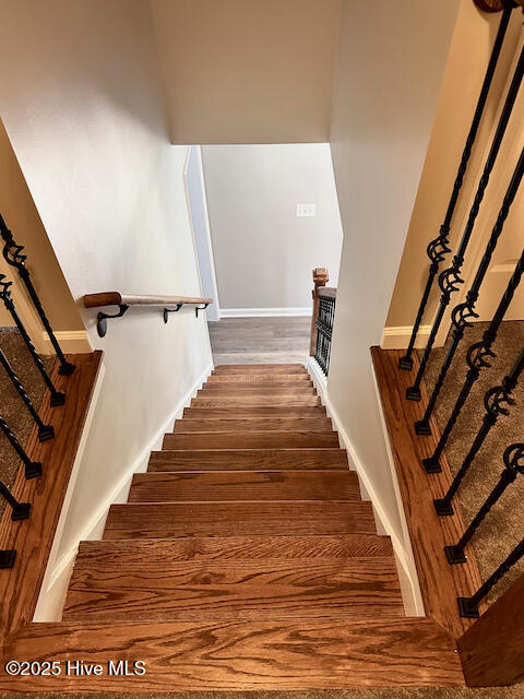 100542566 | Photo 39