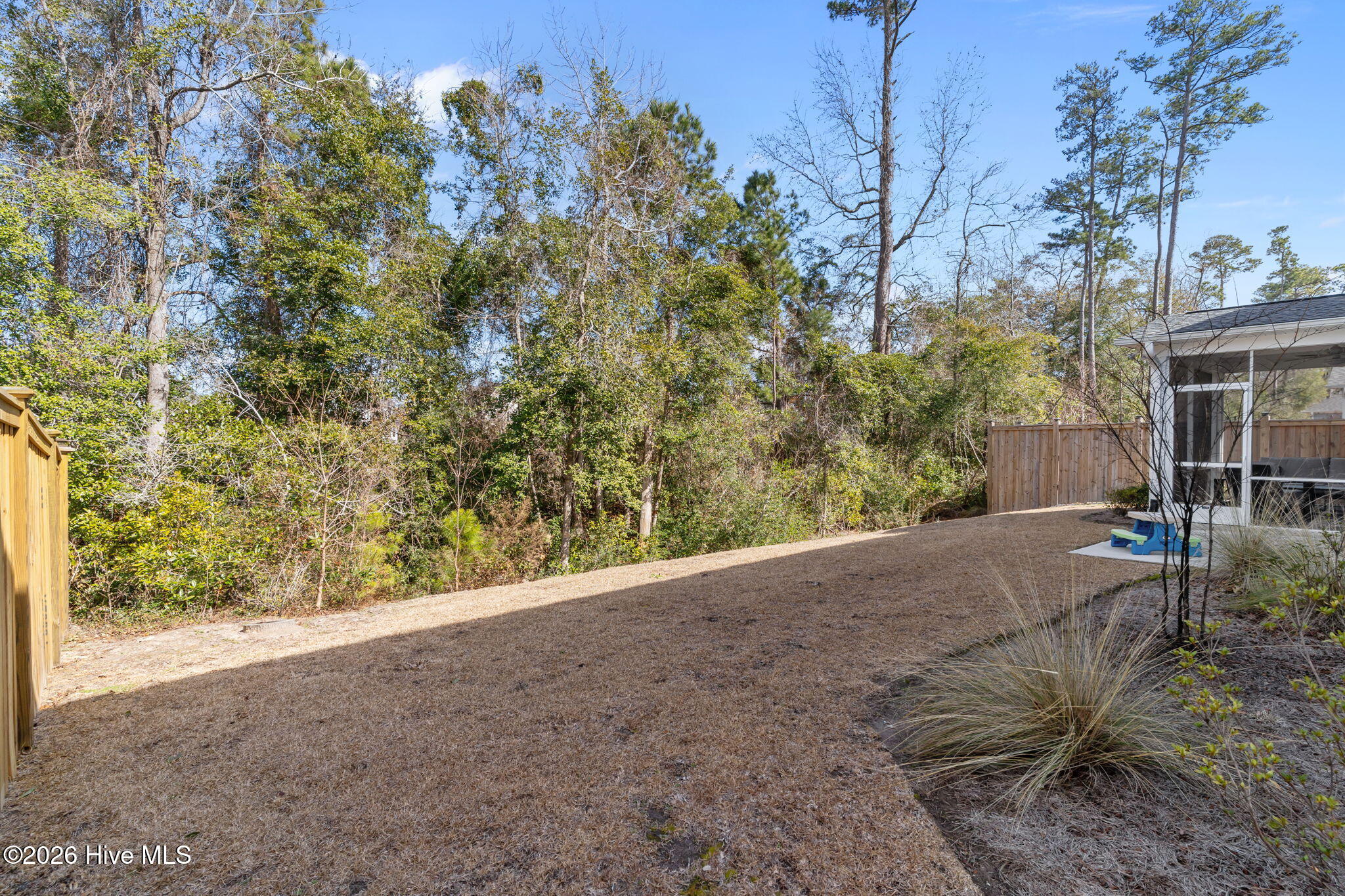 100555424 | Photo 47