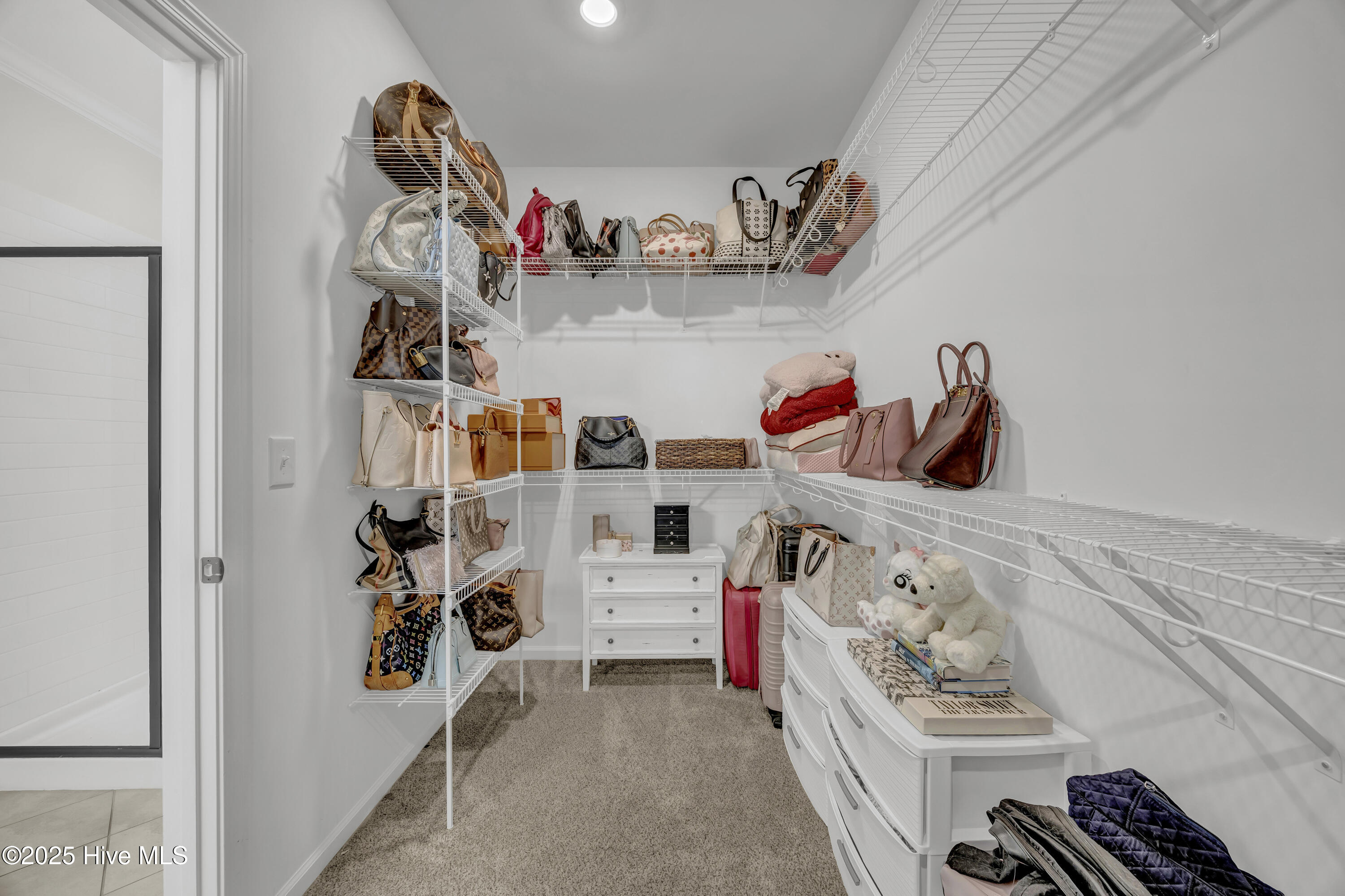 100532723 | Photo 13