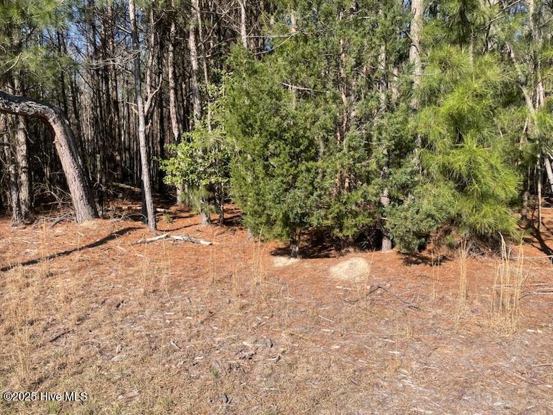 5635 Mckendree Church Road, Tarboro, NC, 27886