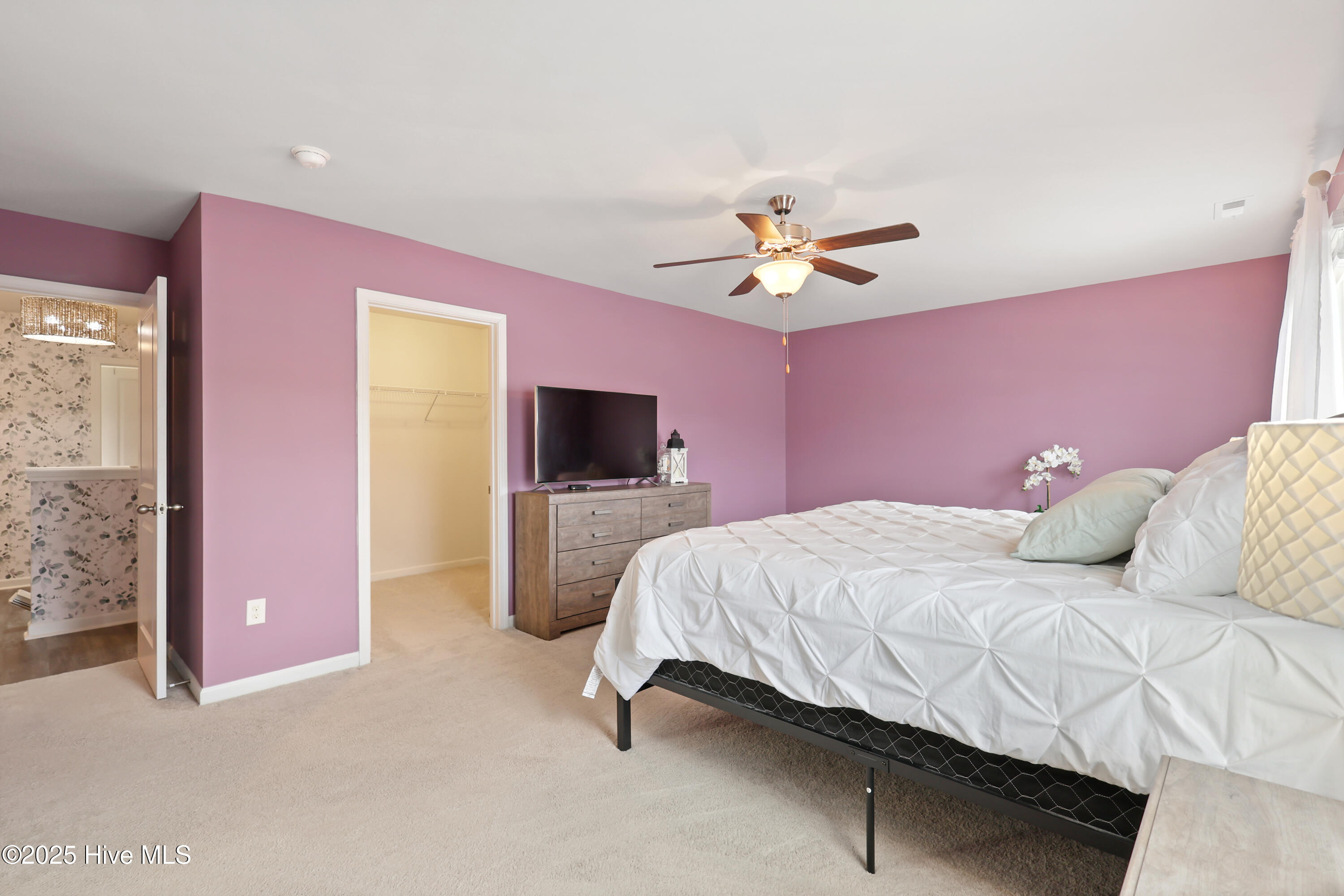 100539239 | Photo 21