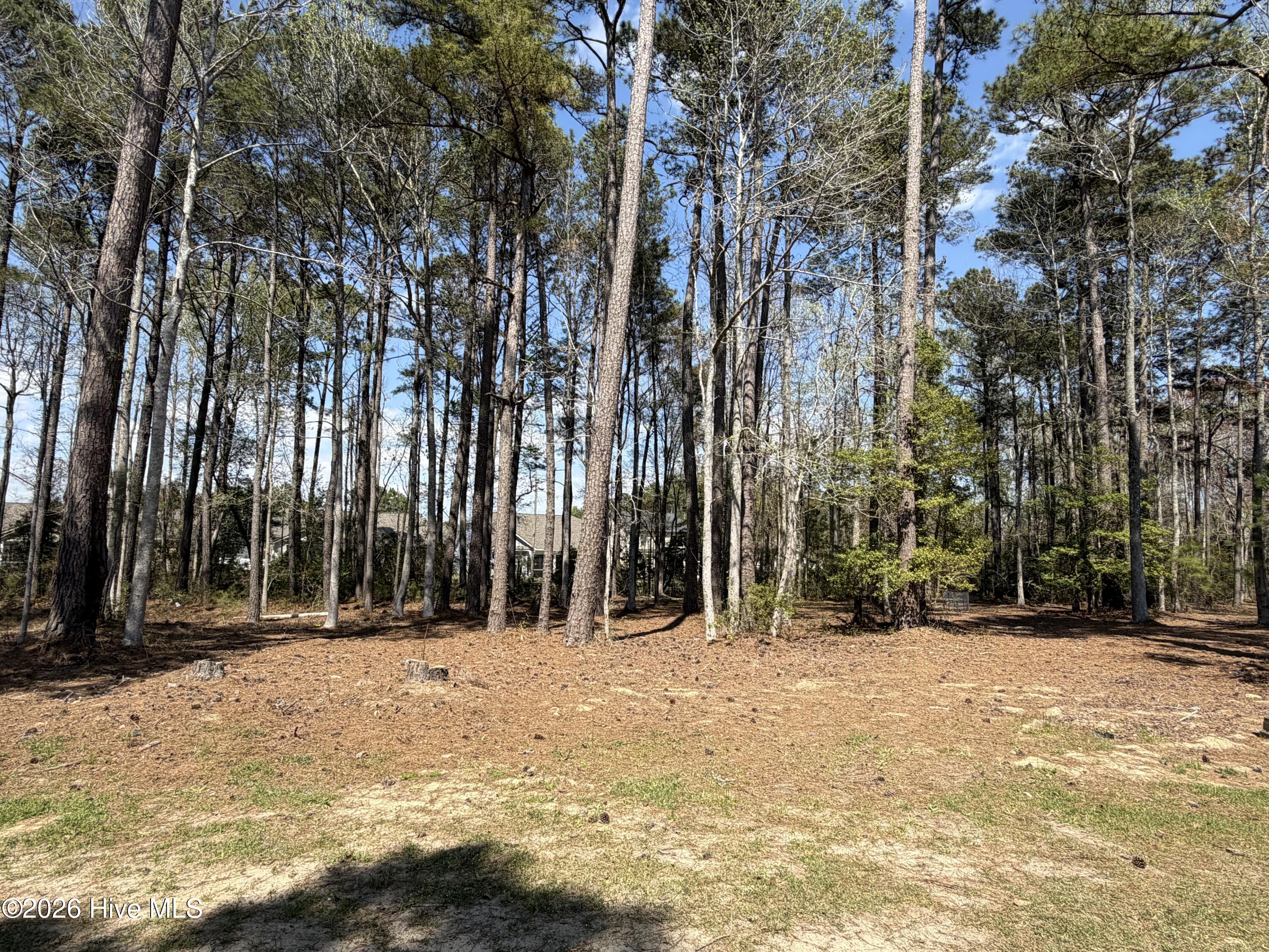 6790 Hanbury Place SW, Ocean Isle Beach, NC, 28469
