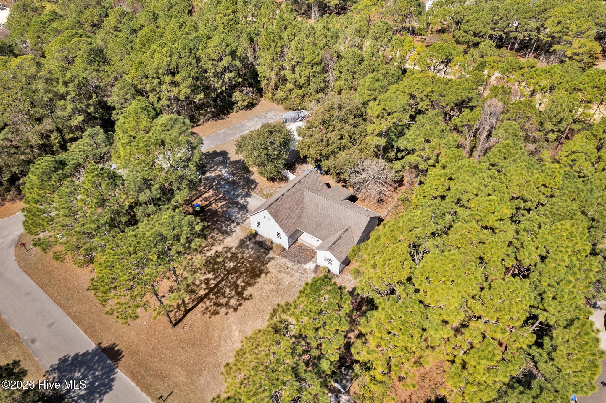 100559055 | Photo 34